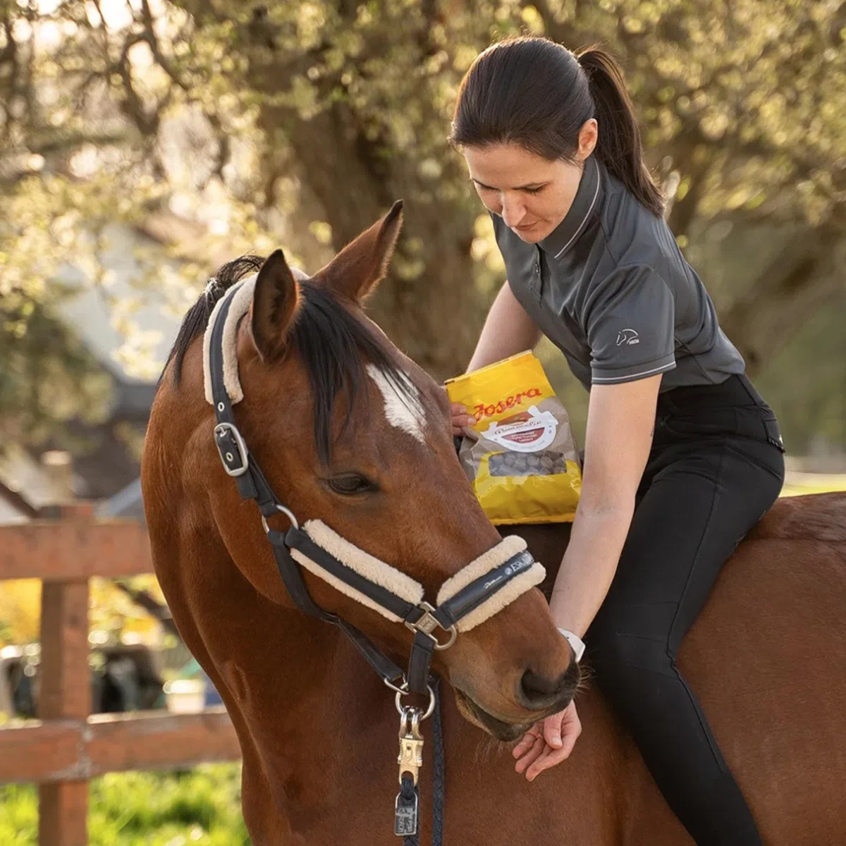 Josera Senior, 1 x 15 kg, Comida Premium para Caballos con Complejo Vital, fácil de digerir, Buena para Alimentar, Comida para Caballos Senior