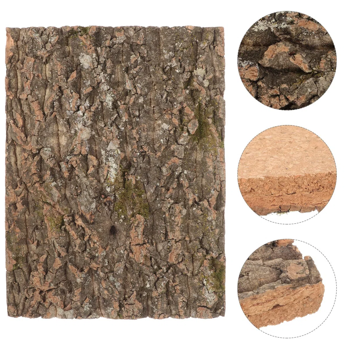 BESPORTBLE Cubierta de Corcho Natural para Ambientación de Terrarios, Plataforma Estable para Reptiles, Protección contra Humedad, Panel de Pared para Acuarios y Terrarios