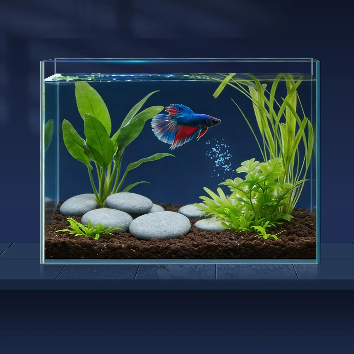 LAQUAL Kit Acuario de 7.6 L con Red, sifón & 2 paños de Limpieza, Cristal Transparente, pequeño Acuario para Betta y Peces Dorados, Bonita decoración del hogar