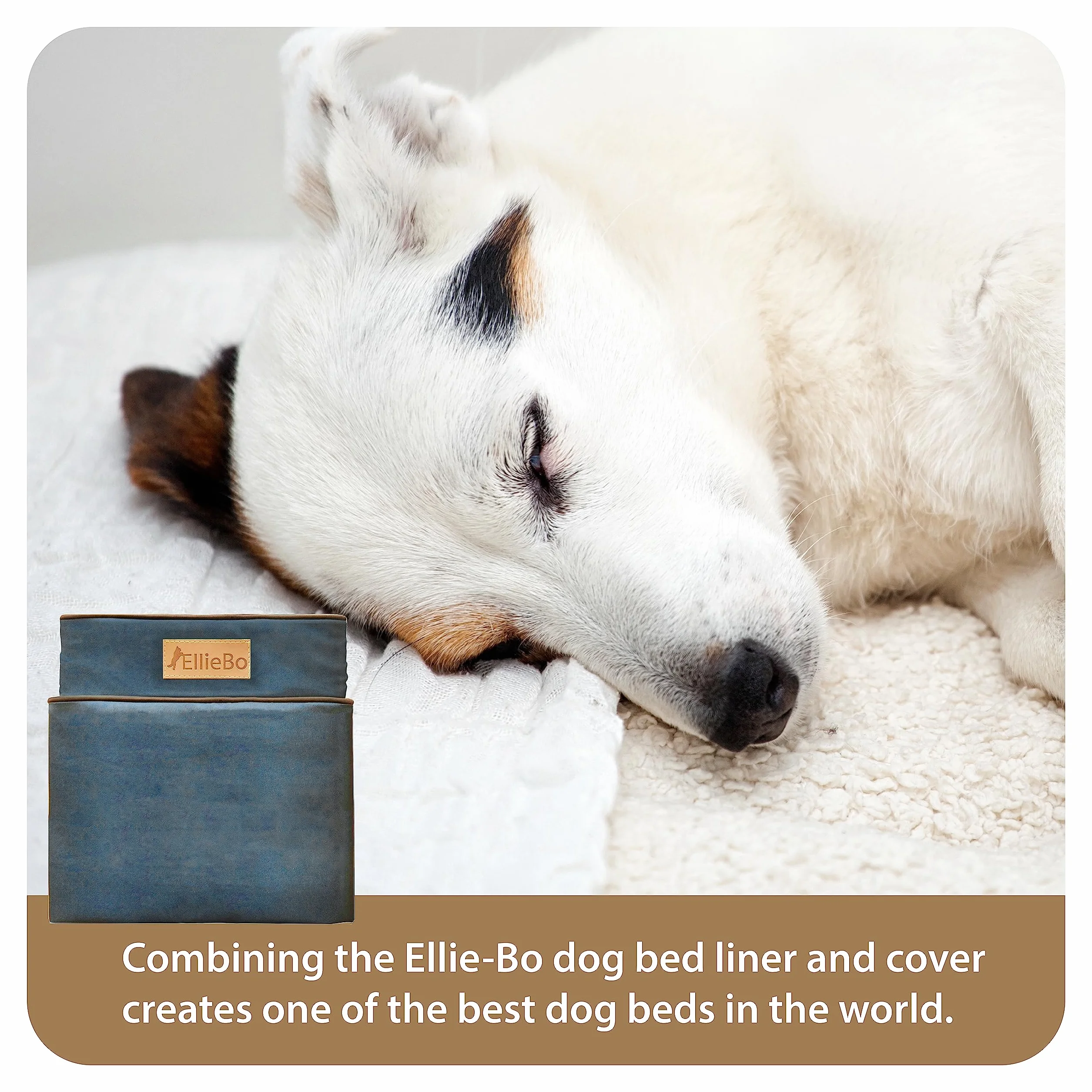 Ellie-Bo Funda de Cama Grande de Espuma viscoelástica para Perro, de 36 Pulgadas, Impermeable, Color Verde