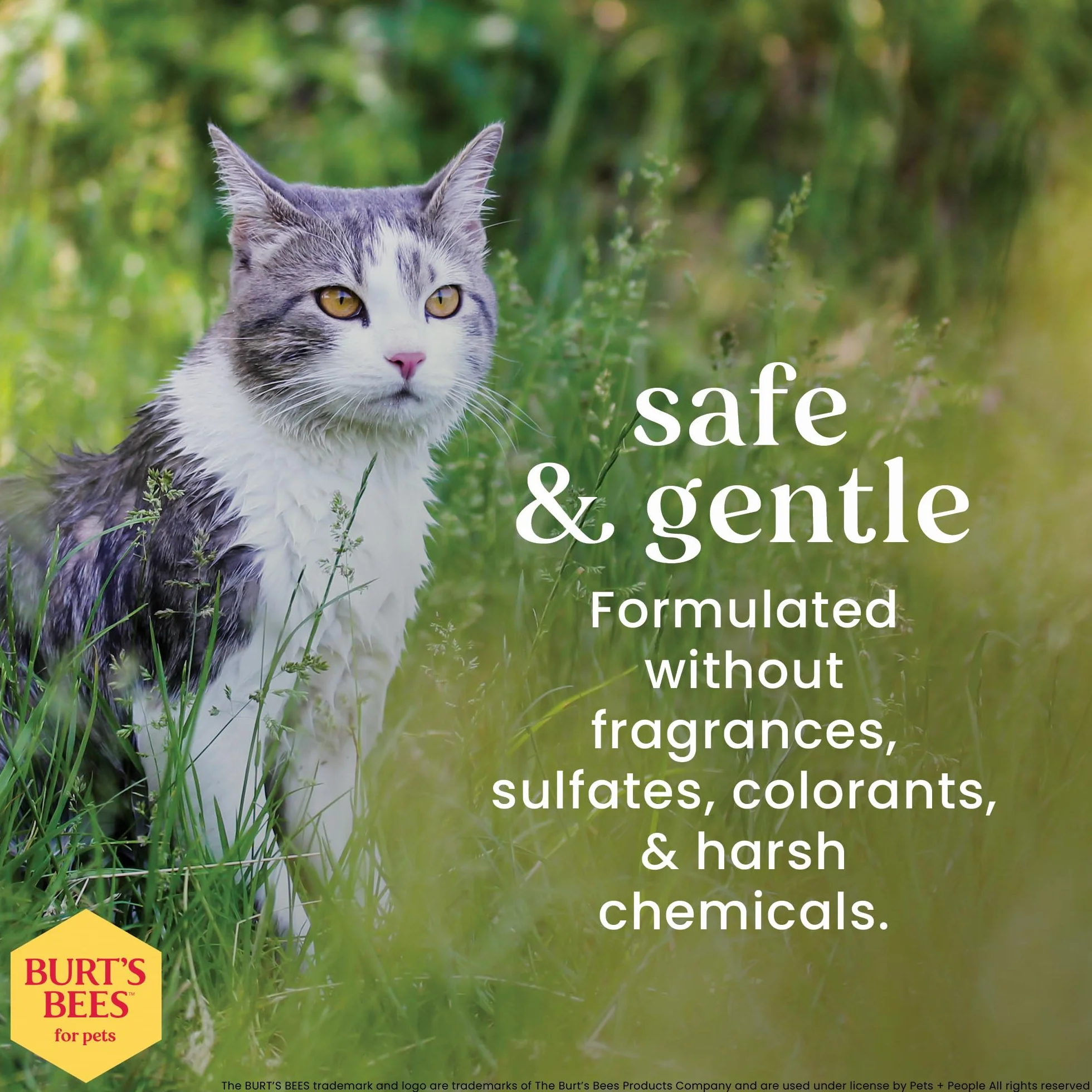 Burt 's Bees - Champú para gato, natural, hipoalergénico