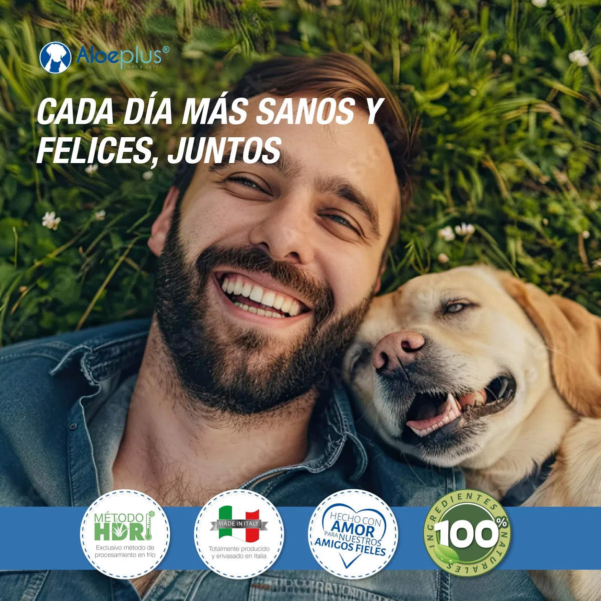 Aloeplus Suplementos cápsula para Perros 11+ kg. - Suplemento Natural a Base de Aloe arborescens - Estimula el Sistema inmunológico - para el Bienestar de los Perros de 11 kg en adelante