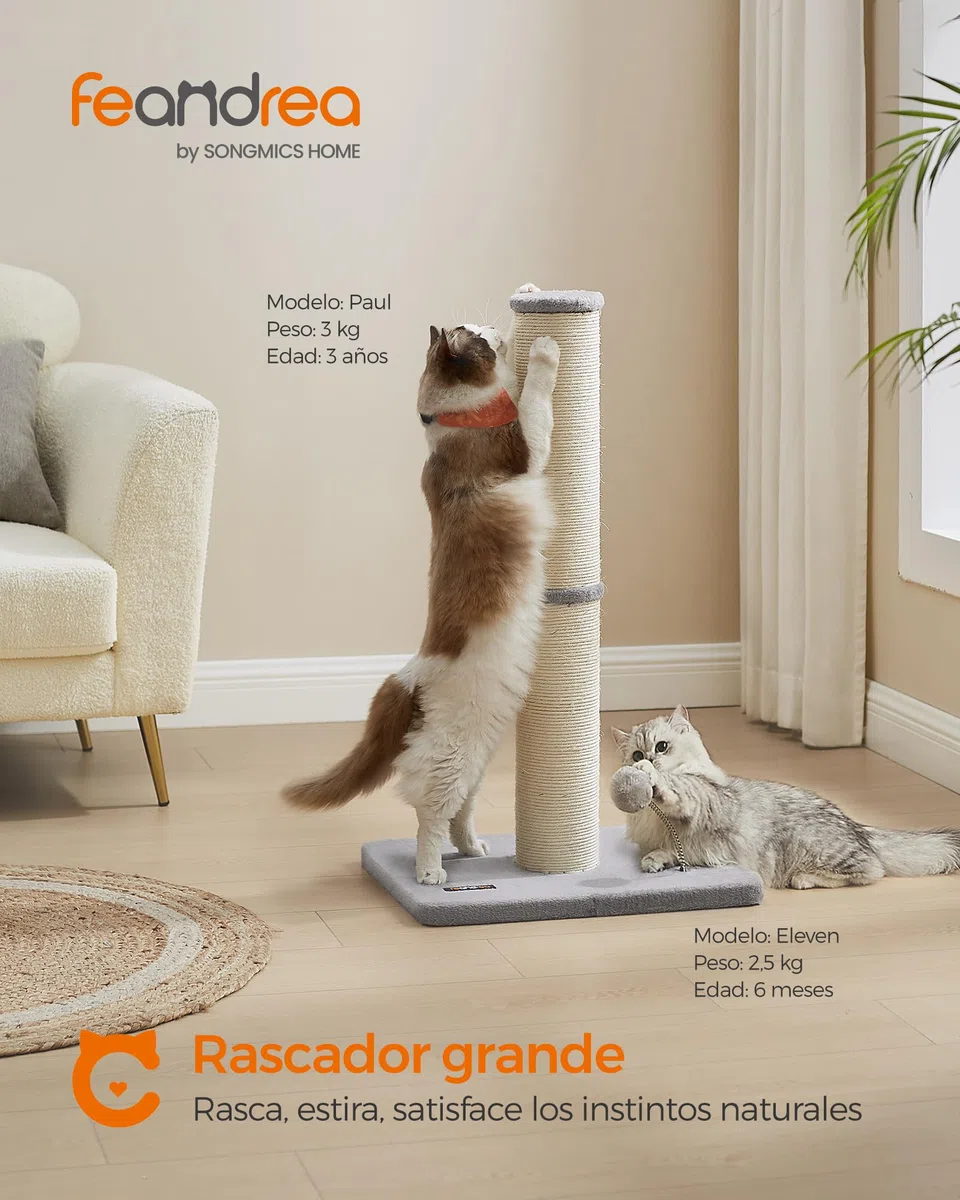 Feandrea Poste Rascador para Gatos, 85 cm de Alto, Gatos Medianos y Grandes, Poste Rascador de Sisal, Pompón de Muelle con Campana, Gris Paloma PCA041G01