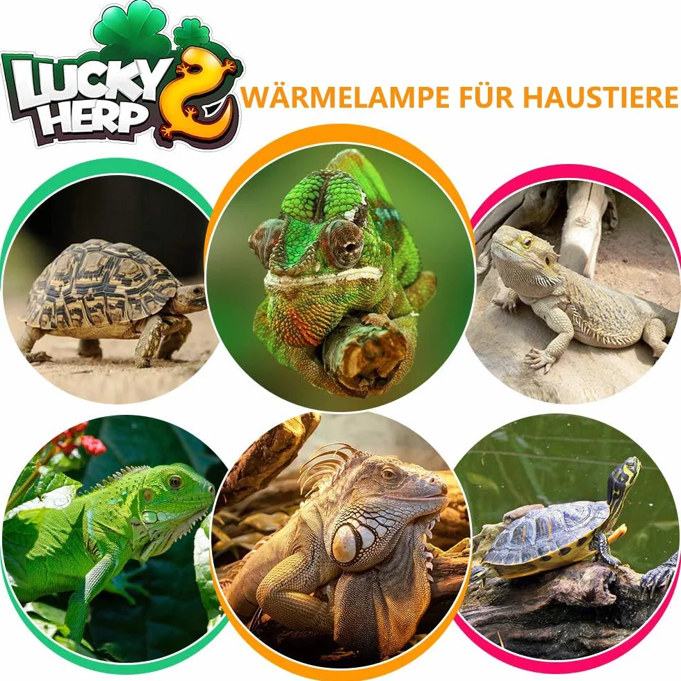 LUCKY HERP Lámpara de calor UVA UVB para terrario, 80 W, reptiles, UVA UVB, terrario, E27, lámpara UV para tortuga, gamuza, lagarto