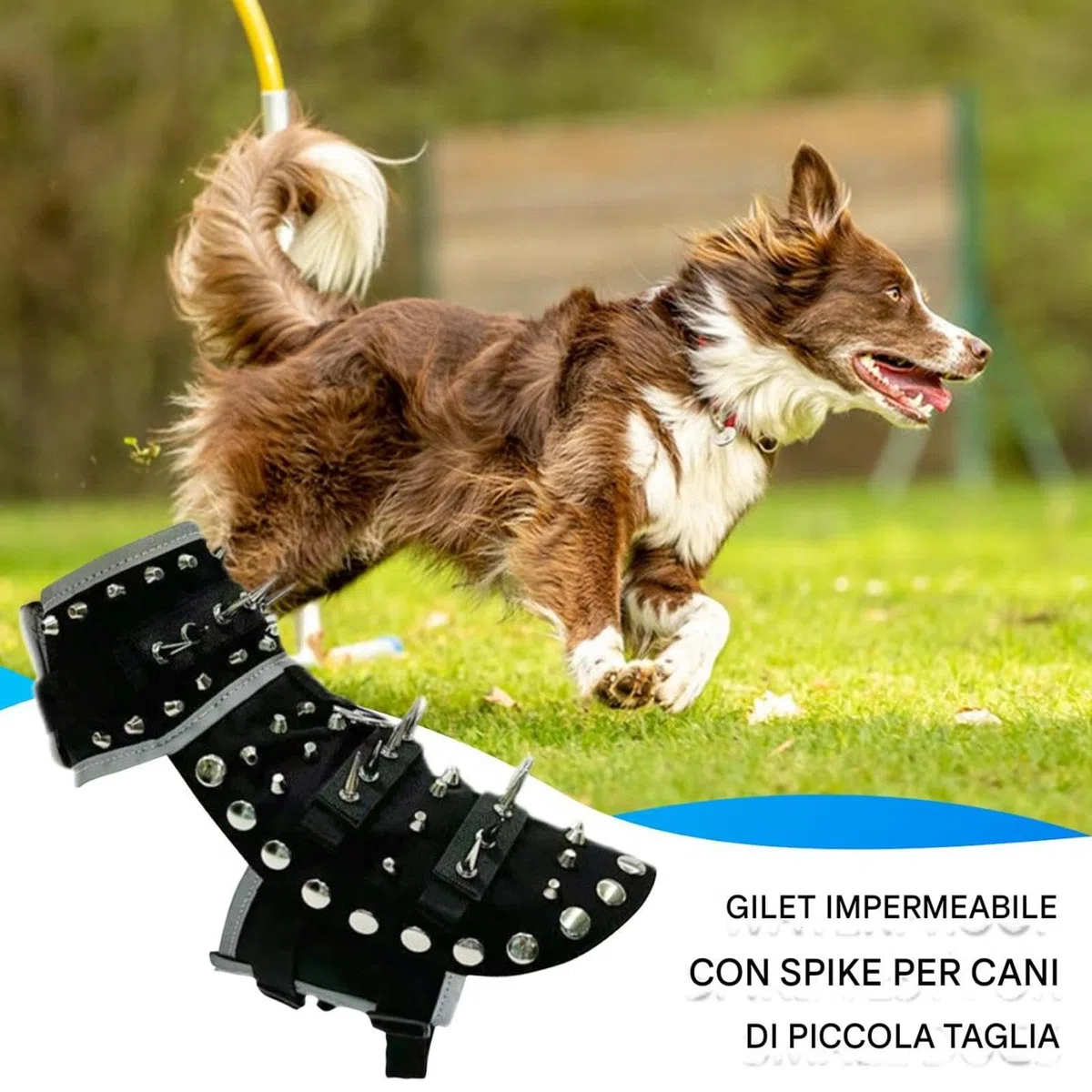 Dog Spike Glet – Chaleco impermeable para mascotas para máxima protección | Chaleco reflectante ajustable para perros anti-coyote para uso en caminatas