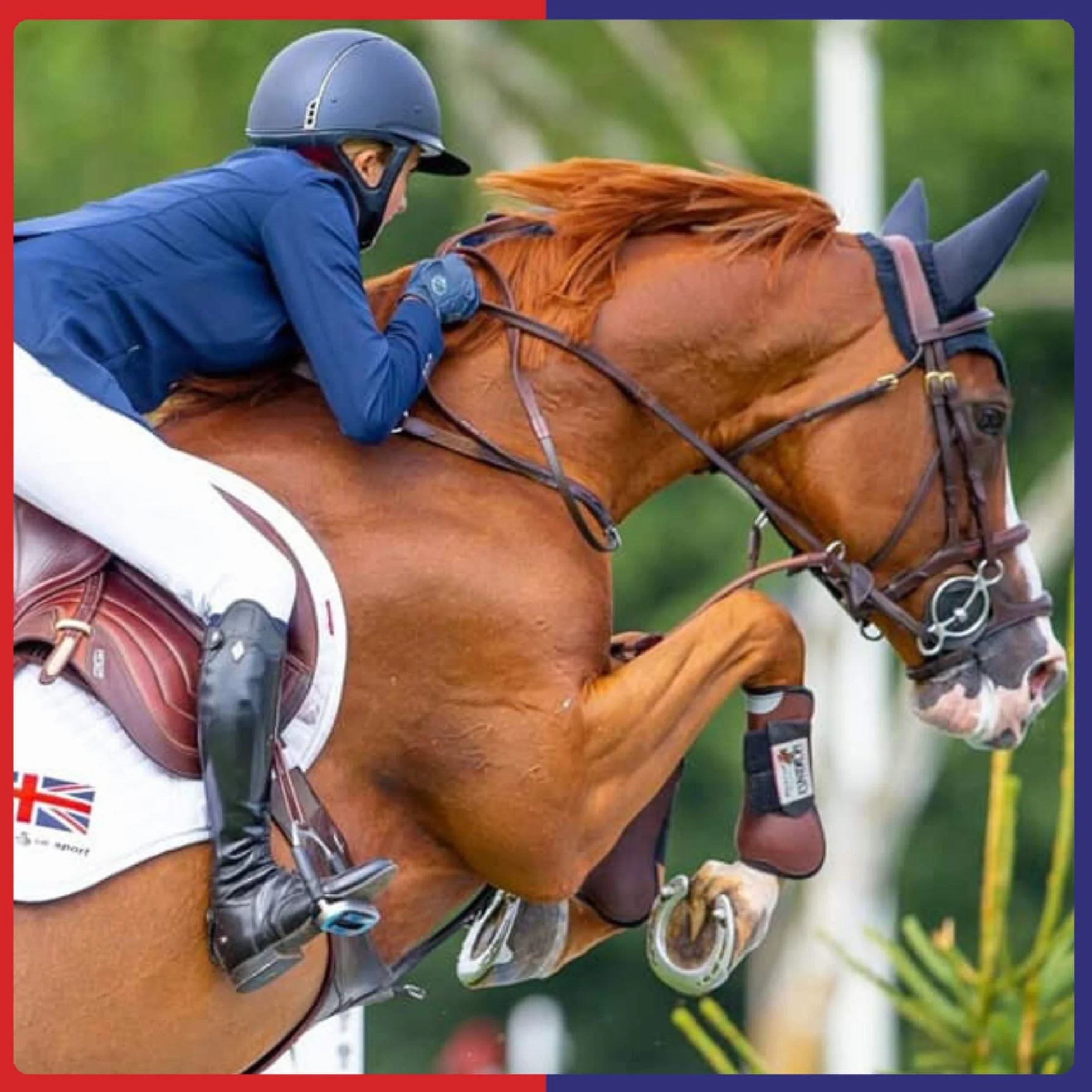 Equine America So-Kalm - Solución de Cal (1 L)
