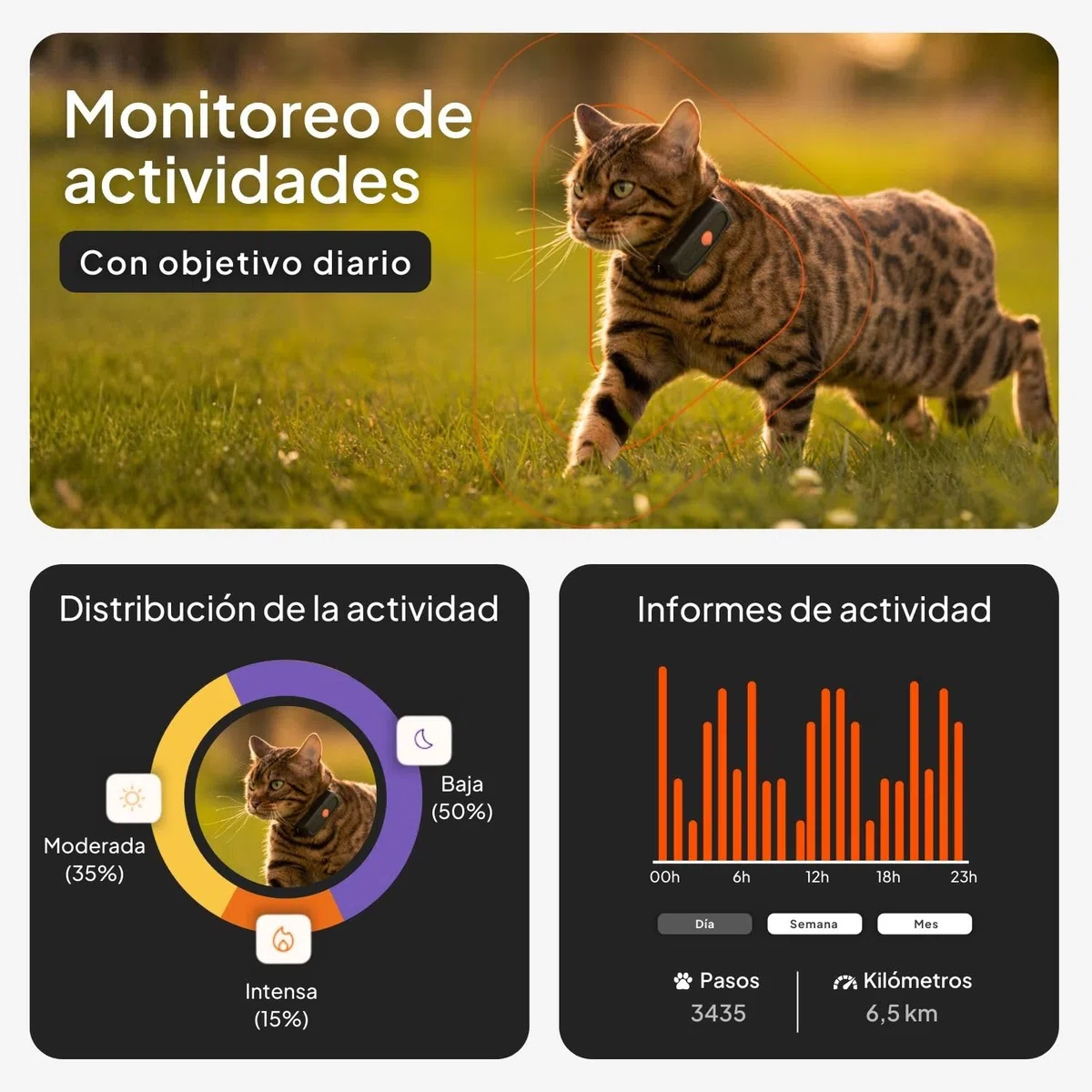 Weenect Cat XS - Nuevo GPS para Gatos | Mini rastreador GPS en Tiempo Real | El más pequeño del Mercado | Suscripción | Collar Incluido | Garantía de por Vida