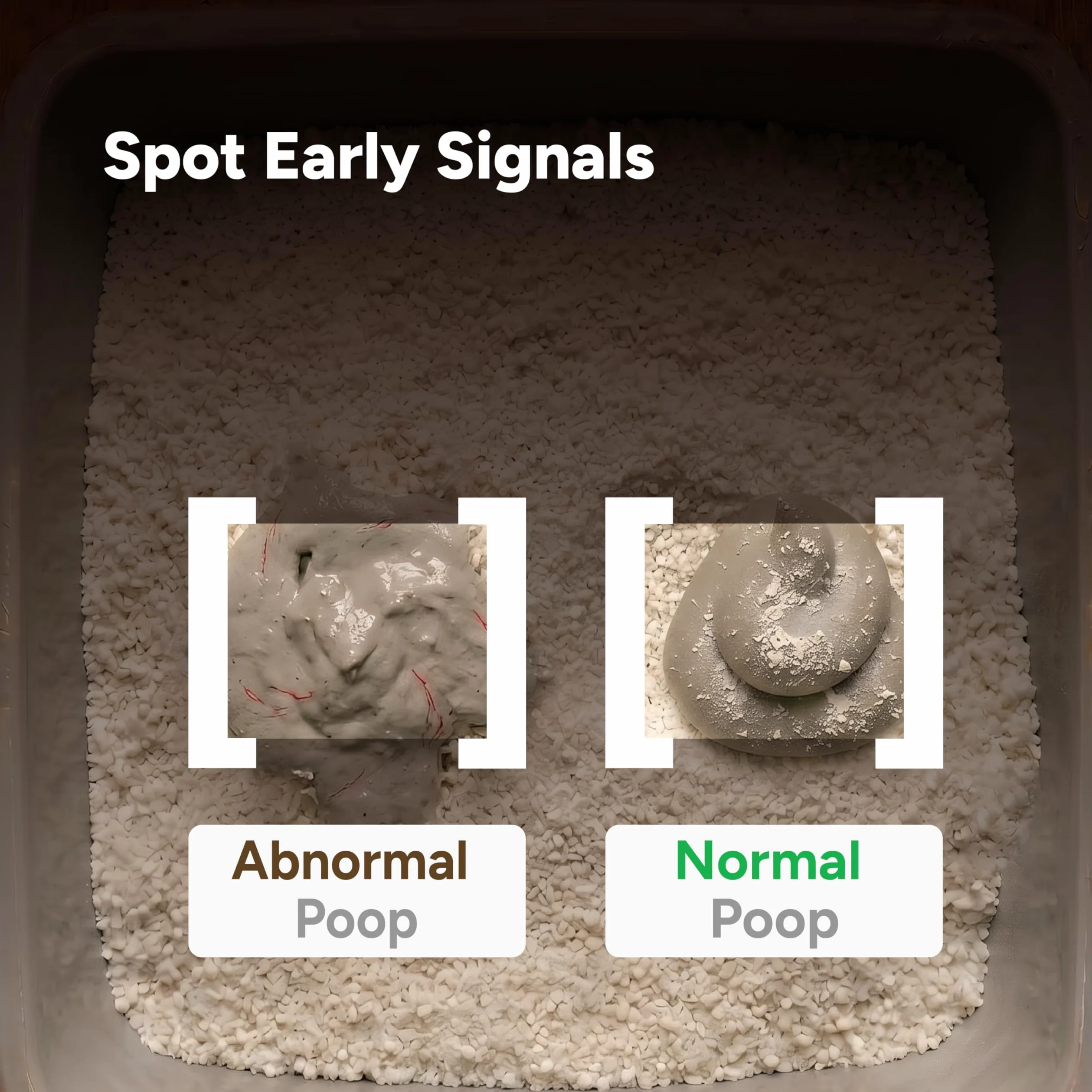 Cámara para gatos con IA - Monitoreo de caja de arena, cámara para mascotas con aplicación de teléfono para interiores, seguimiento de la salud de varios gatos, alertas tempranas de infección