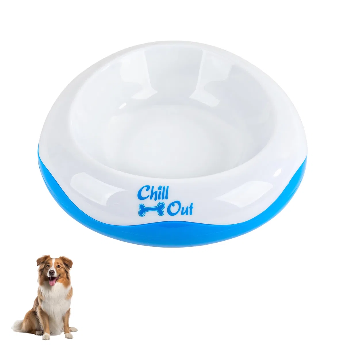 All For Paws Bebedero O Comedero Refrescante Chill out, 500 ml