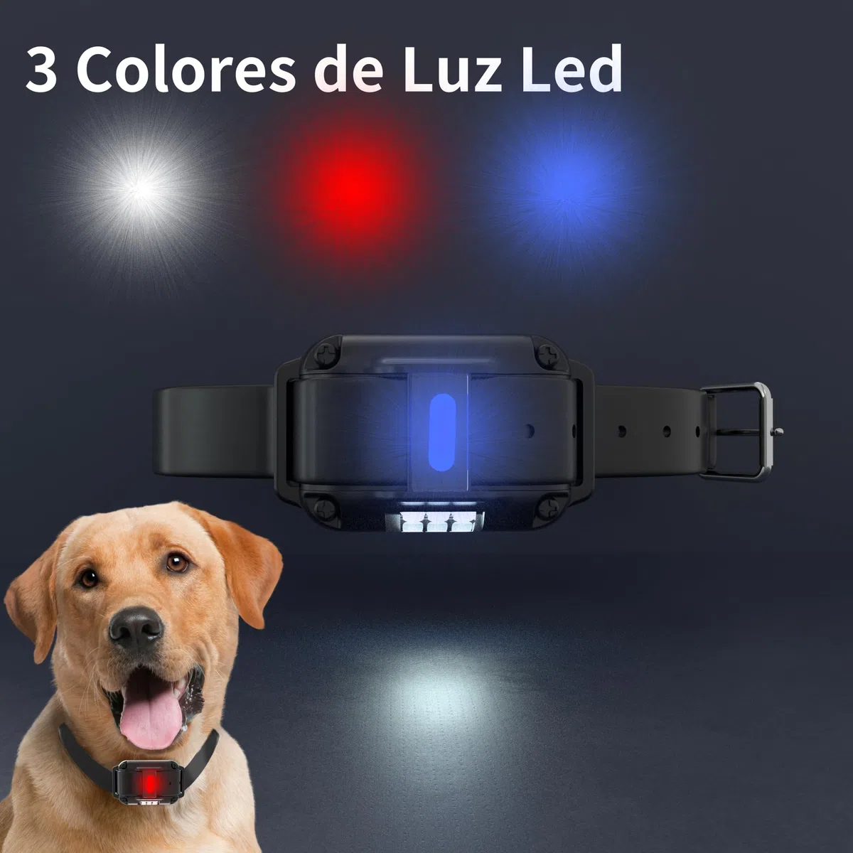 Meloive Collar Luminoso y Recargable para Perros y Gatos Pequeños, Medianos y Grandes - Collar con Luz LED Impermeable y con 2 Modos de Luz