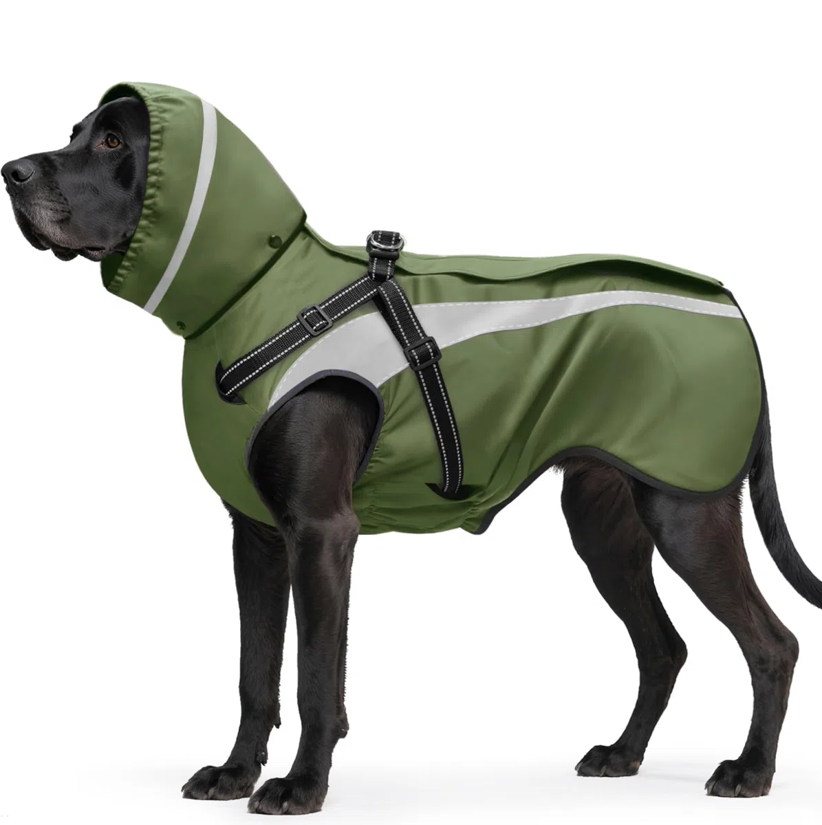 Impermeable Perro Impermeables para Perros Reflectantes Perros Chaquetas de Lluvia con Capucha Poncho para Perro pequeños y medianos Grandes S-XXL (Verde, XXL)