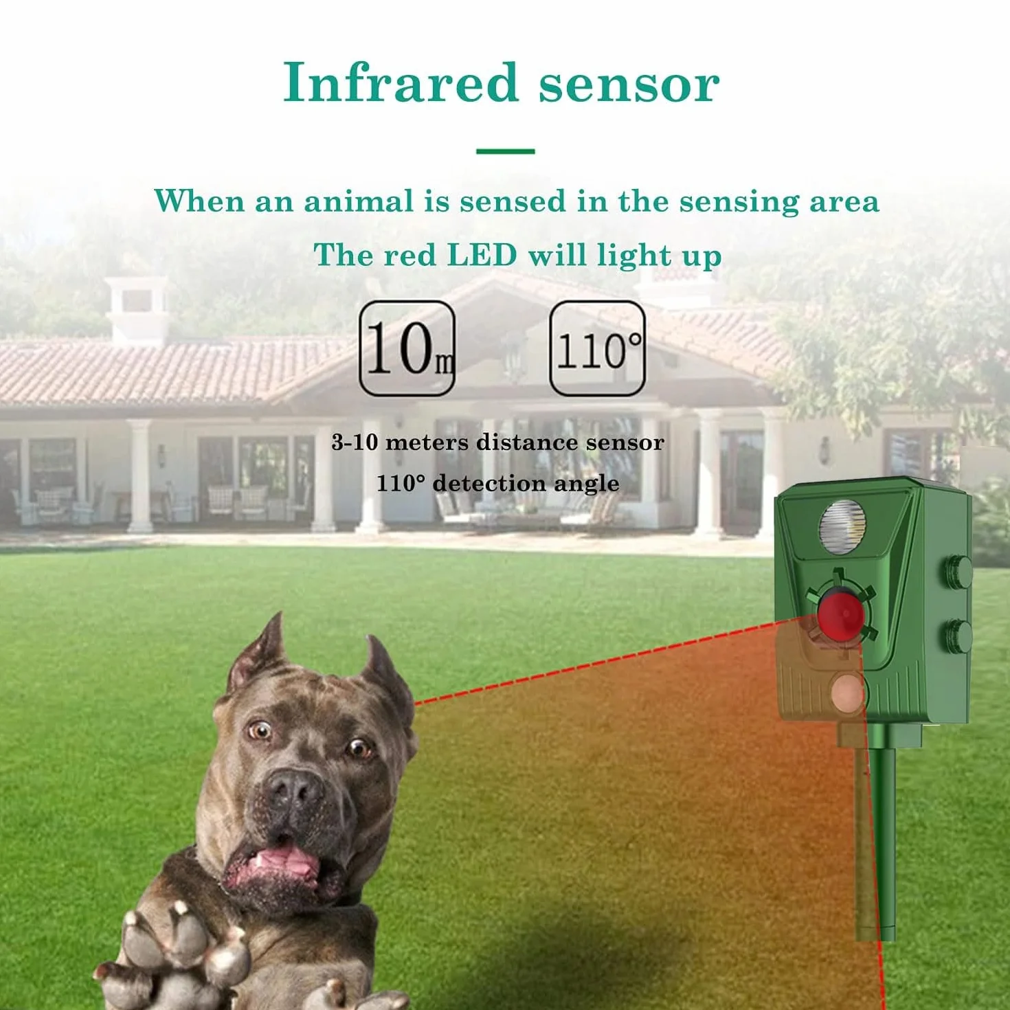 Repelente para Gatos, disuasores para Palomas, 2025 Nuevo ultrasonido Solar Repelente para Gatos Repelente para Palomas, pájaros, Perros, Gatos, Ratones, Zorros, Ultrasound Repelente para Animales