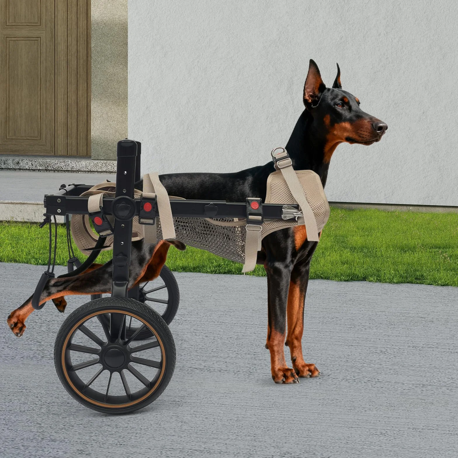 Silla de ruedas para perros XL, silla de ruedas de aluminio para perros grandes, silla de ruedas de perro ajustable, patas traseras, ruedas de goma antivibración, tejido de malla