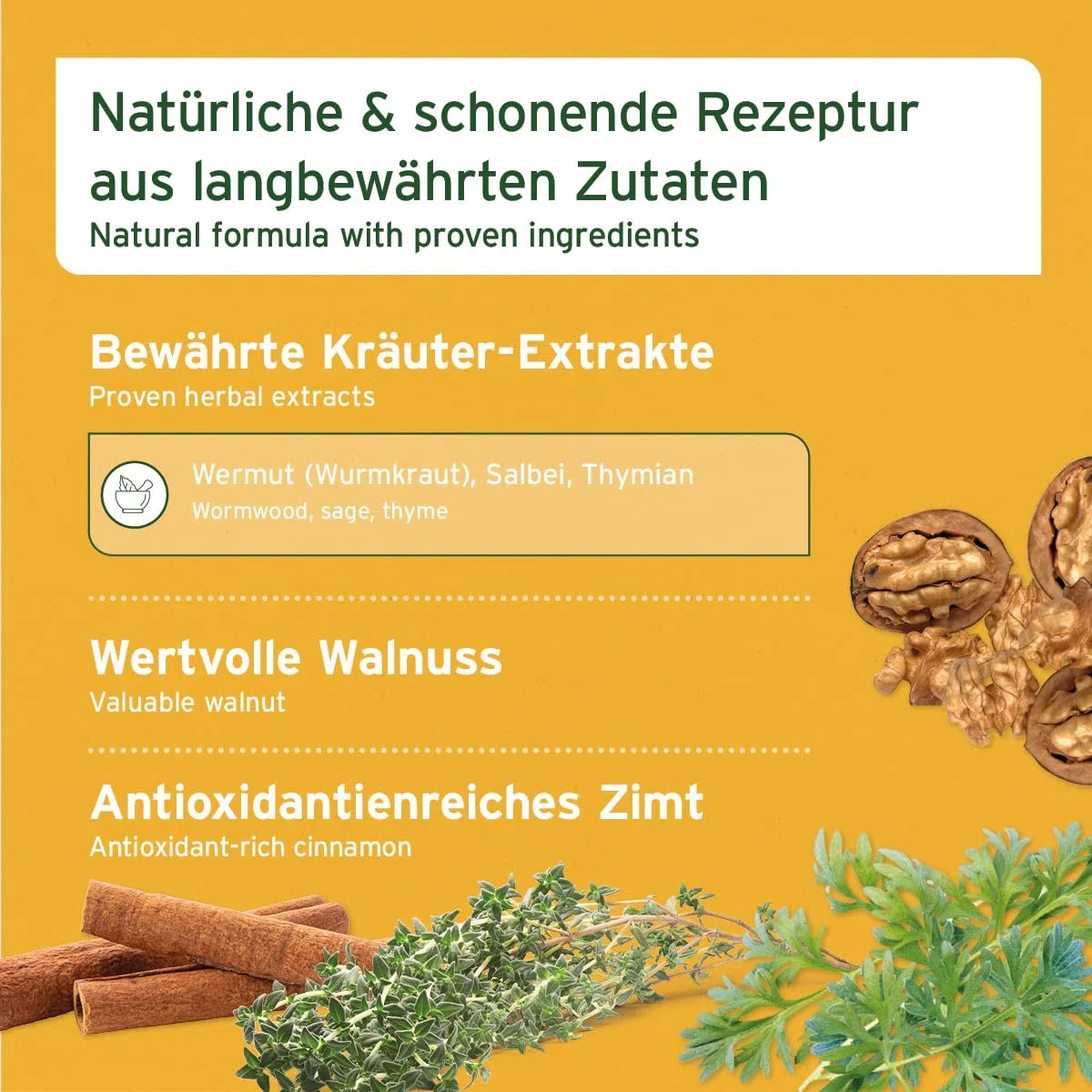 AniForte Wurm Kraut W-Liquid Gotas líquidas - alternativa natural para perros, gatos, mascotas, apoya y armoniza el estómago después de las infestaciones de gusanos, fabricado en Alemania, 50 ml