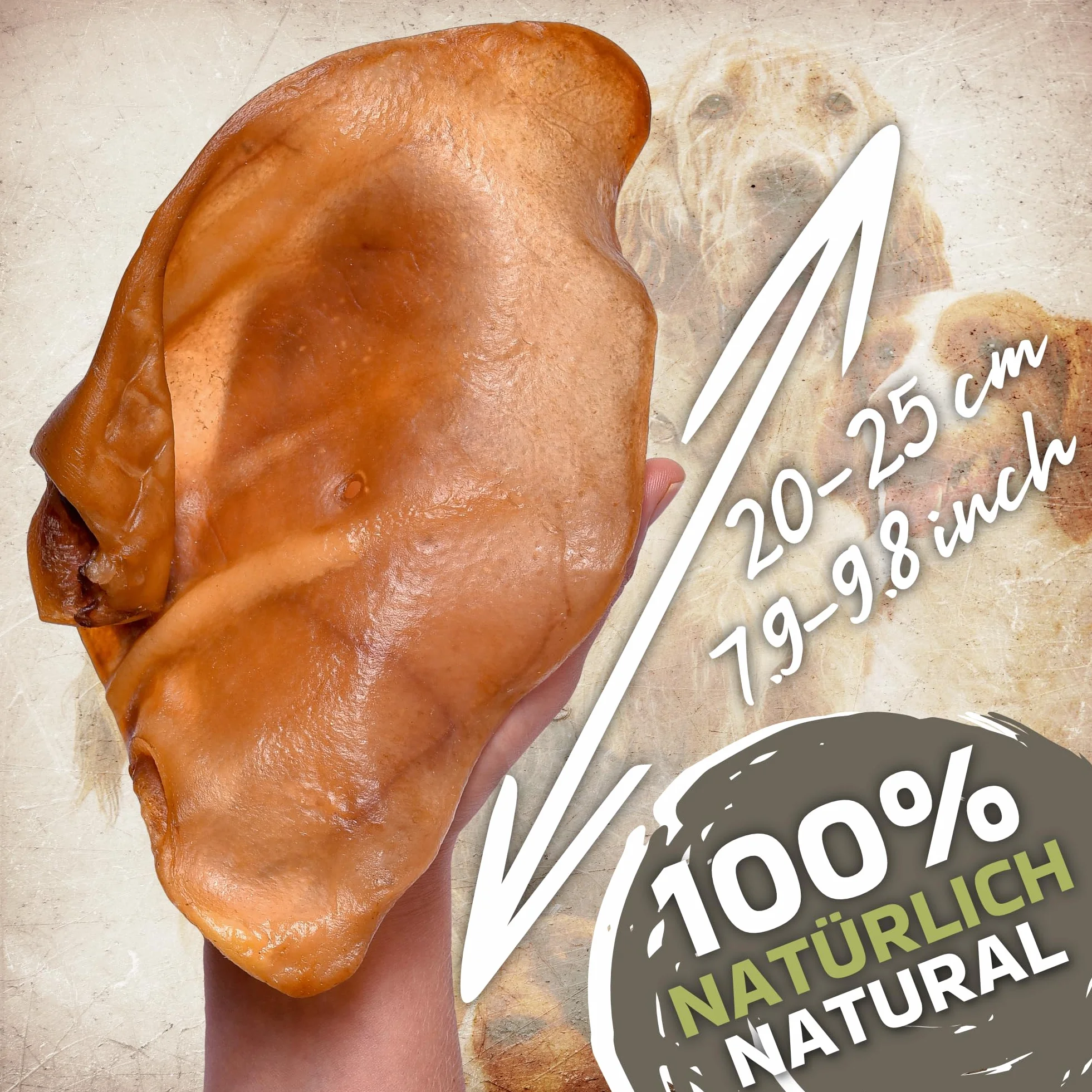 Orejas de cerdo secas XL, 20 unidades, 1,2 kg, artículos para masticar, 100% naturales, diversión duradera, sin cereales, ideal para perros