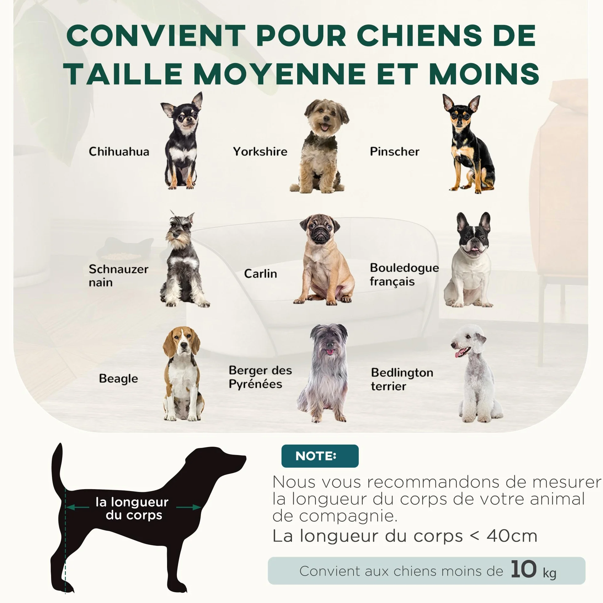 PawHut Sofá para perros, sofá para gatos, cojín mullido, funda extraíble y lavable, funda de terciopelo holandés, para perros pequeños y medianos, gris
