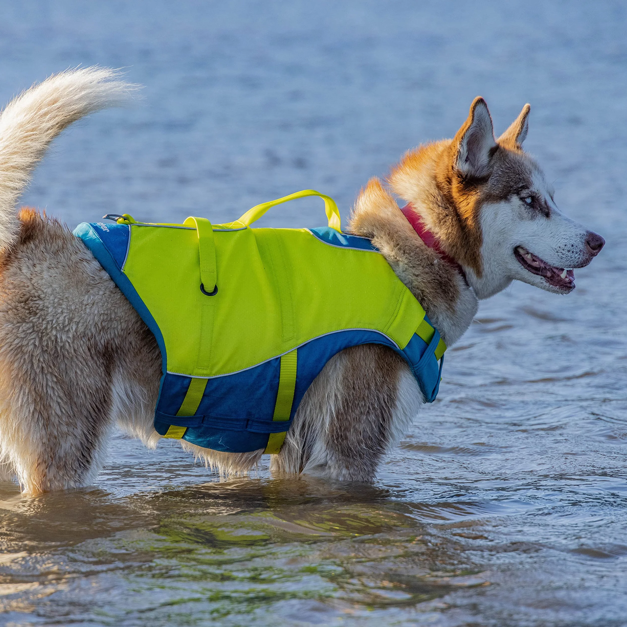 Kurgo Surf n' Turf Chaleco Salvavidas para Perros, Chaleco Salvavidas para Nadar, Chalecos flotantes para Perros, PFD, Reflectante, Ajustable, Azul/Verde, Talla S