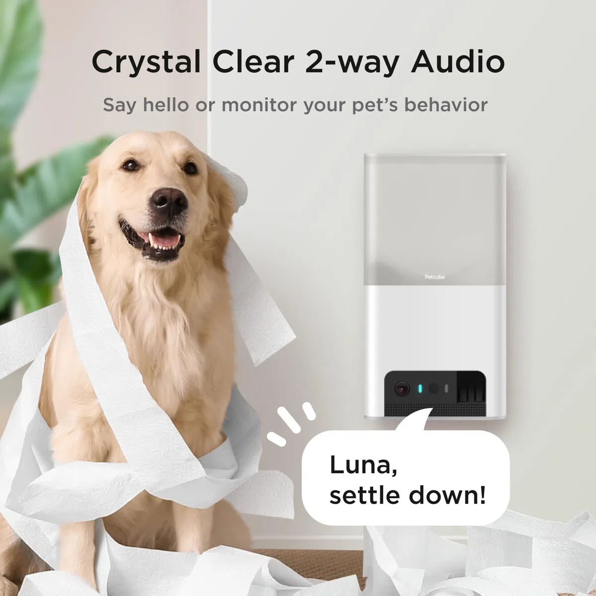 Petcube Bites 2 Lite | Cámara para Mascotas con App, Dispensador de Premios, Vídeo HD 1080p, Visión Nocturna, Audio Bidireccional