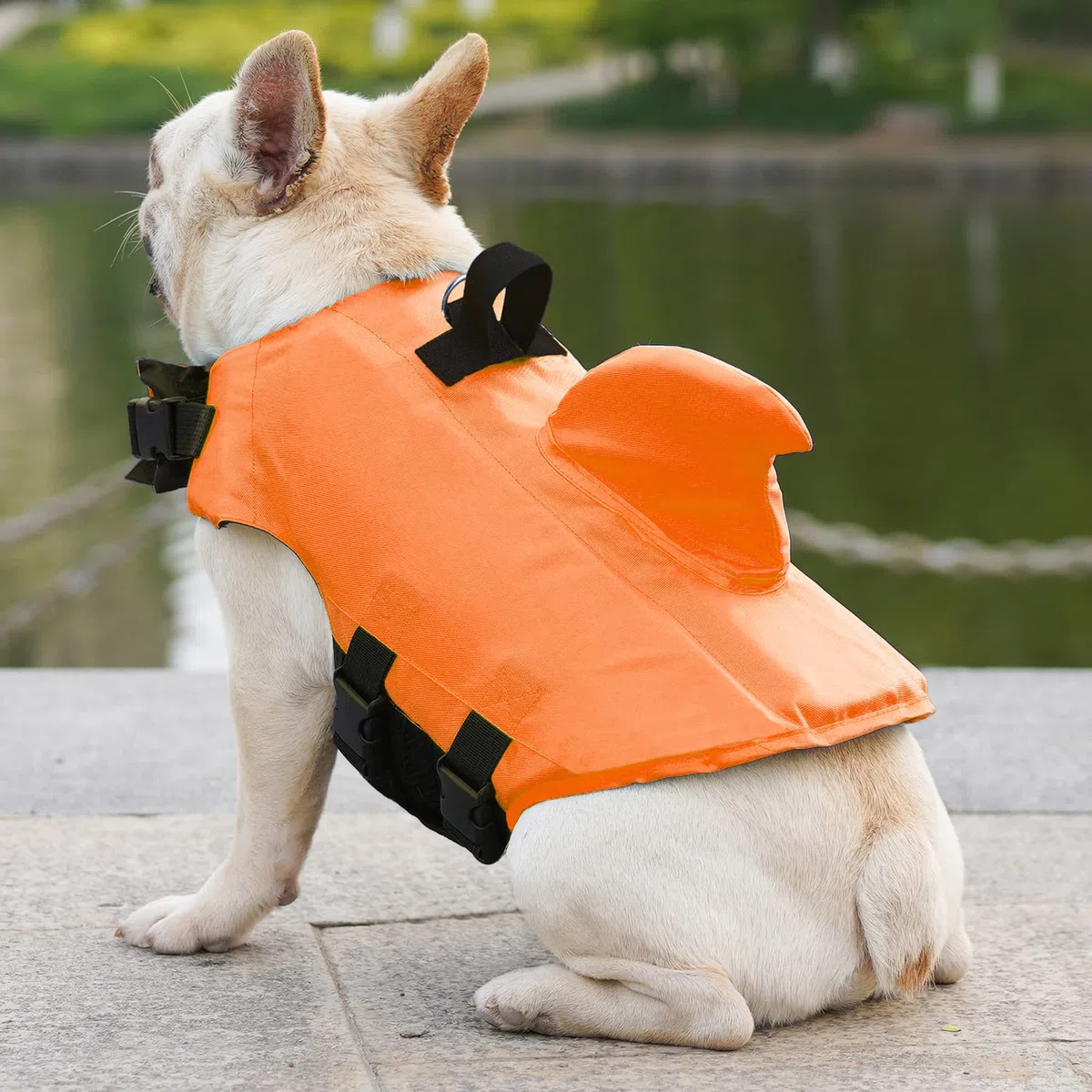 Chaleco Salvavidas para Perros Mascota Cachorro Flotador Piscina Perros Ropa Chaleco de Seguridad Perrito Natación (Naranja, Medium)