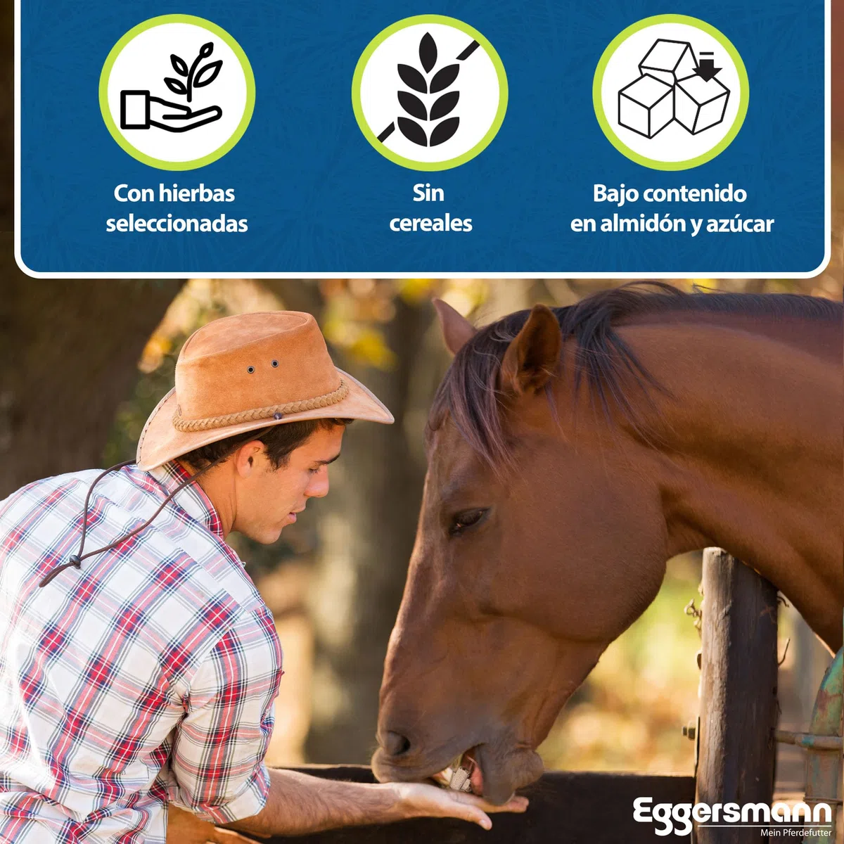 Eggersmann Mein Pferdefutter Terminal de Hierbas sin Cereales, 8 kg, sin Cereales, alimento Mineral para Caballos, para apoyar el metabolismo, Apto para Caballos sensibles a Las alergias