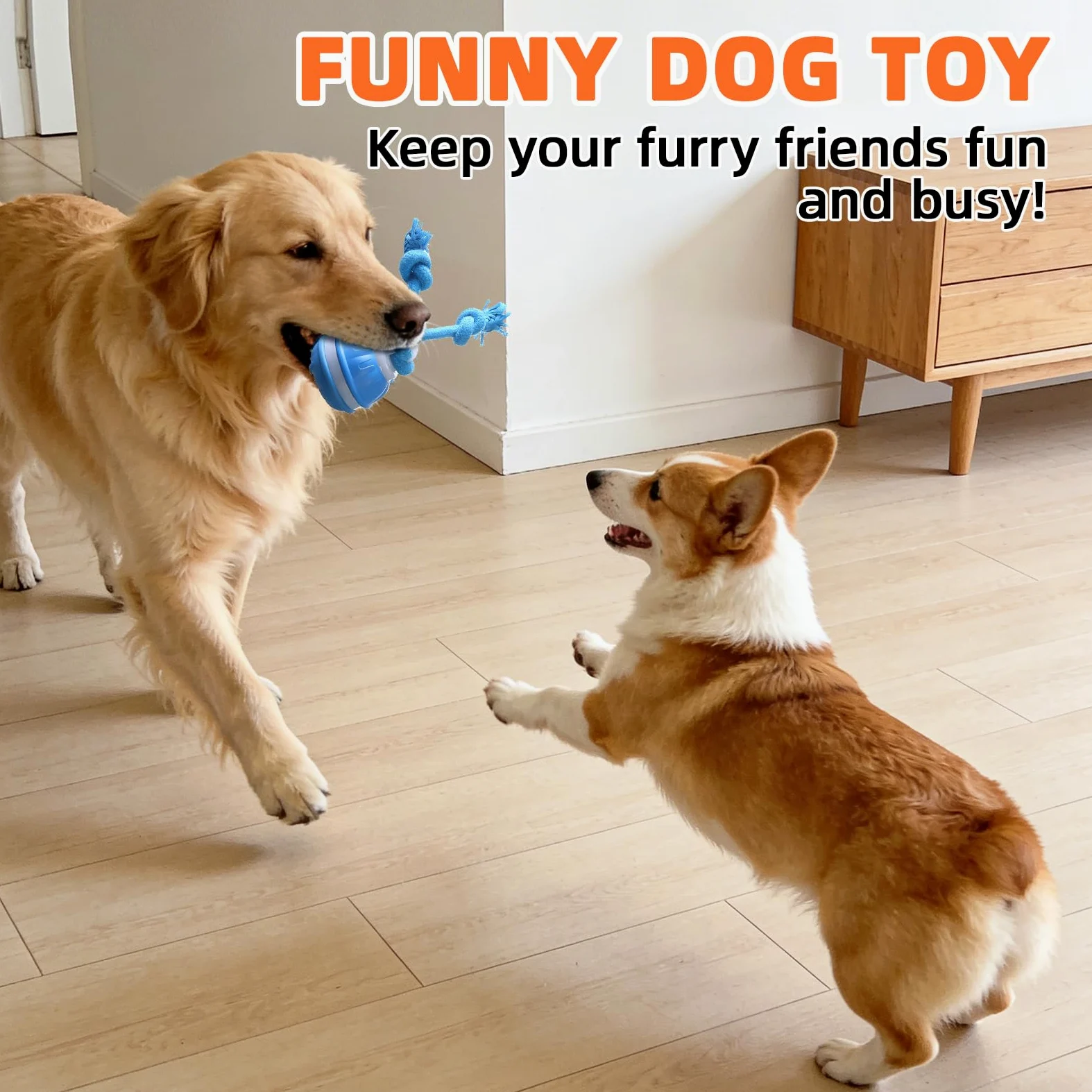 Juguetes para Perros, Pelotas para Perros Interactivos, Juguetes Perro de Salto Automático, Inteligente Pelota Interactiva Perro con Cuerda para Pequeños y Medianos (Azul+Naranja)