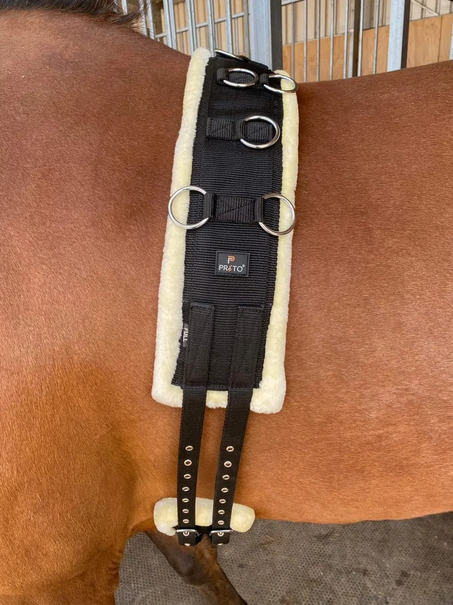 Preto Rodillo corporal de entrenamiento de caballos o cincha de estocada ajustable sintético fuerte resistente al desgarro PP nailon cincha forro polar/piel sintética acolchado ejercicio estocada