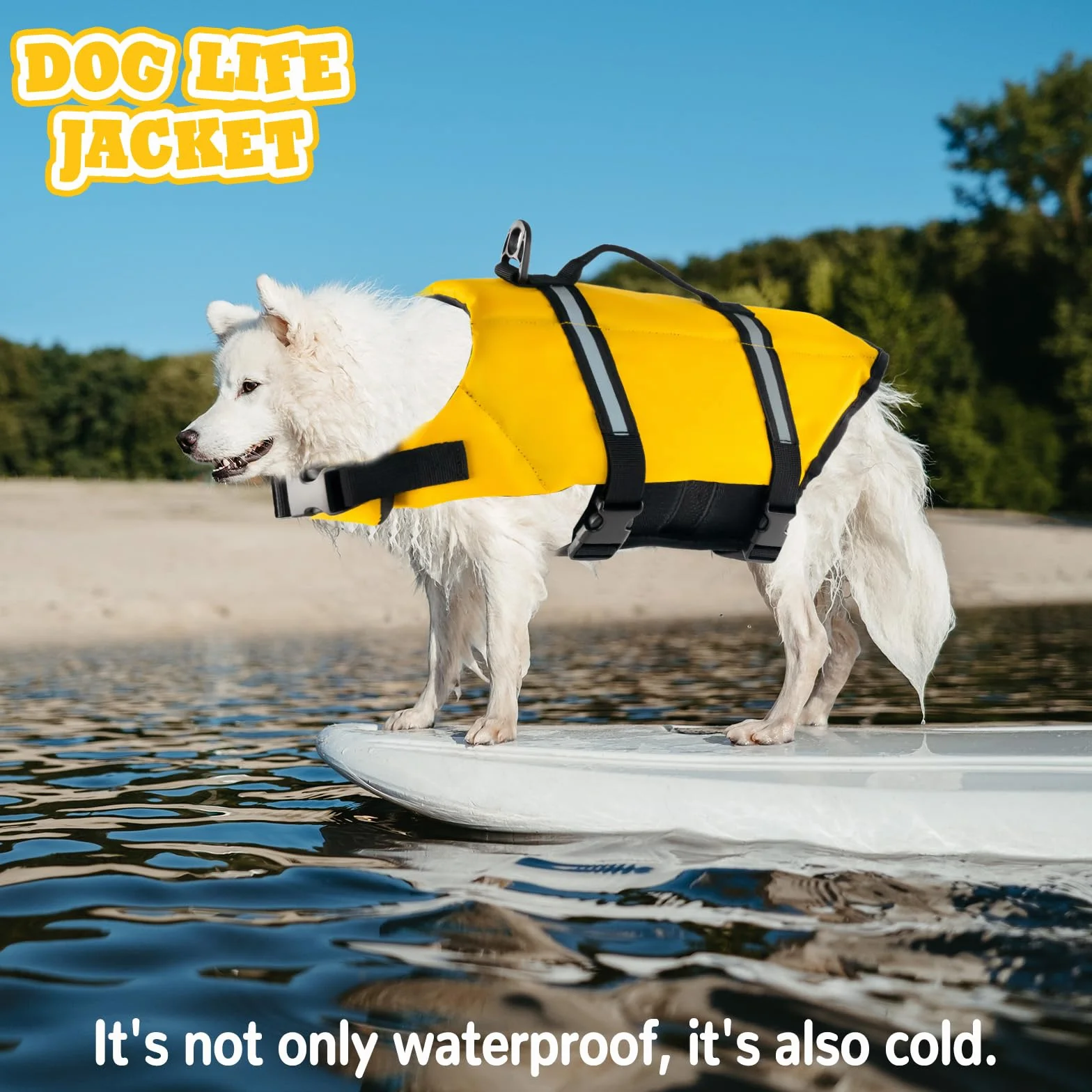 Chaleco Salvavidas para Perros, FainFun Chaleco Flotador para Perros Grandes Pequeños Medianos Naranja, Que Nadan en el Agua (Amarillo, Large)