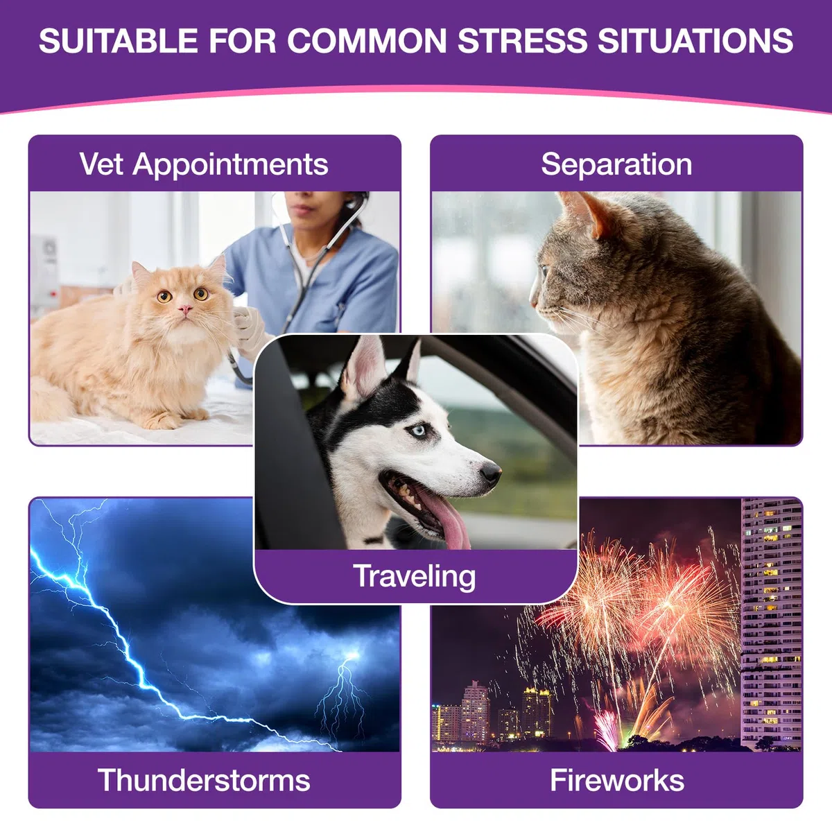 Melatonina para Perros y Gatos 120 ml, Calmante Natural para Mascotas, Ayuda para Dormir y Relajarse, Reduce Estrés, Nerviosismo y Ansiedad,Suplemento Líquido de Absorción Rápida para Bienestar Animal