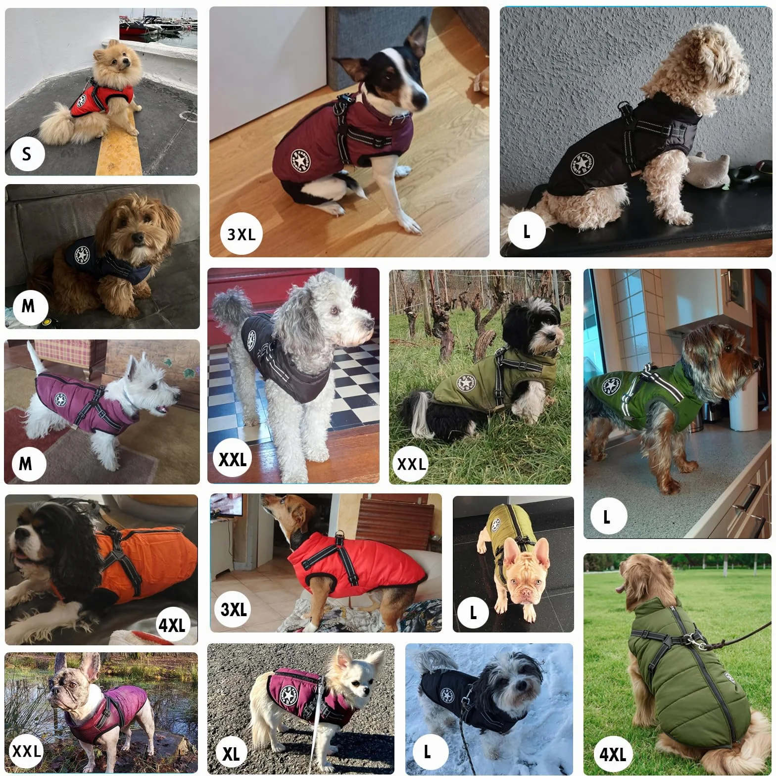 Abrigo para Perros Invierno - Invierno Abrigos Windproof Ropa para Mascotas Chaqueta para Perros con Forro Polar,Rojo,L