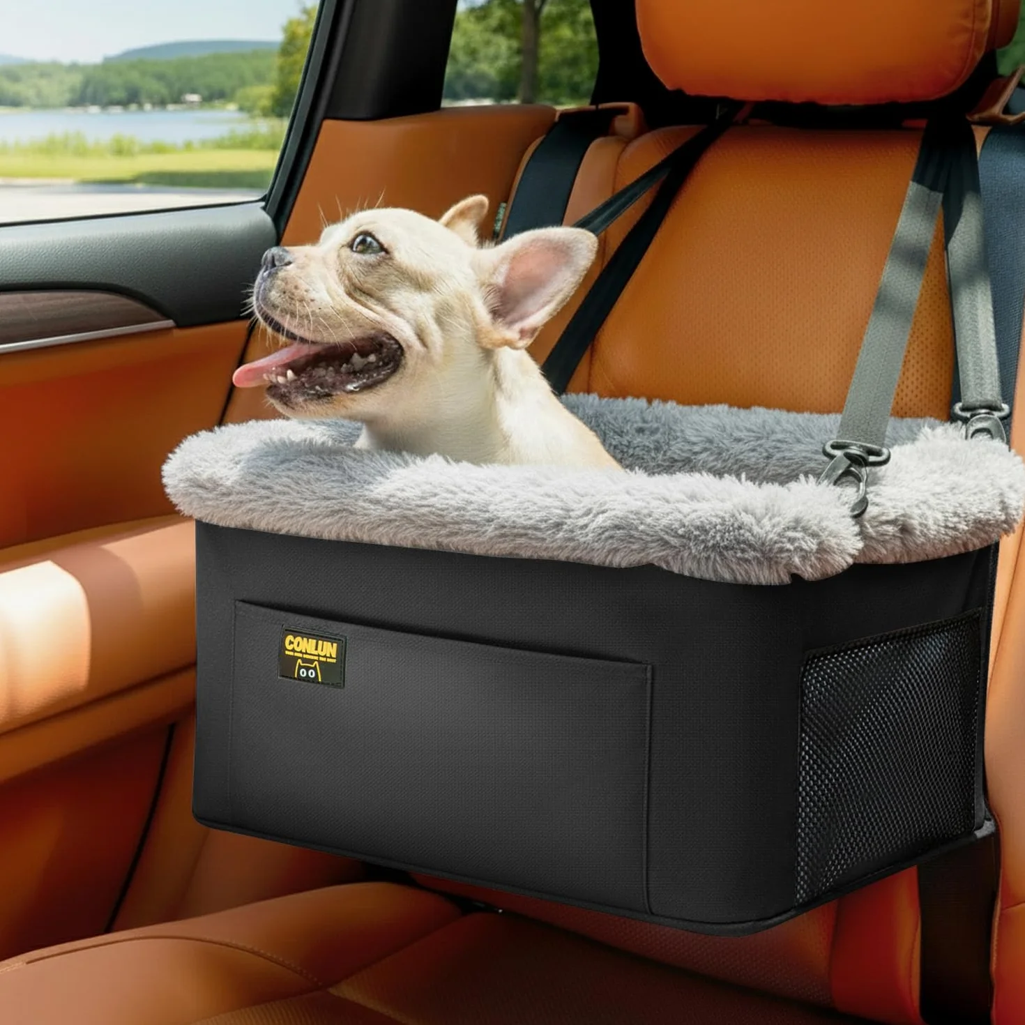 Conlun Asiento Coche Perro Pequeño y Gatos (hasta 9 kg) - Asiento Elevador Perro con Cinturón de Seguridad - Silla Coche Mascotas Plegable con Estructura de Acero (40x33x22 cm)