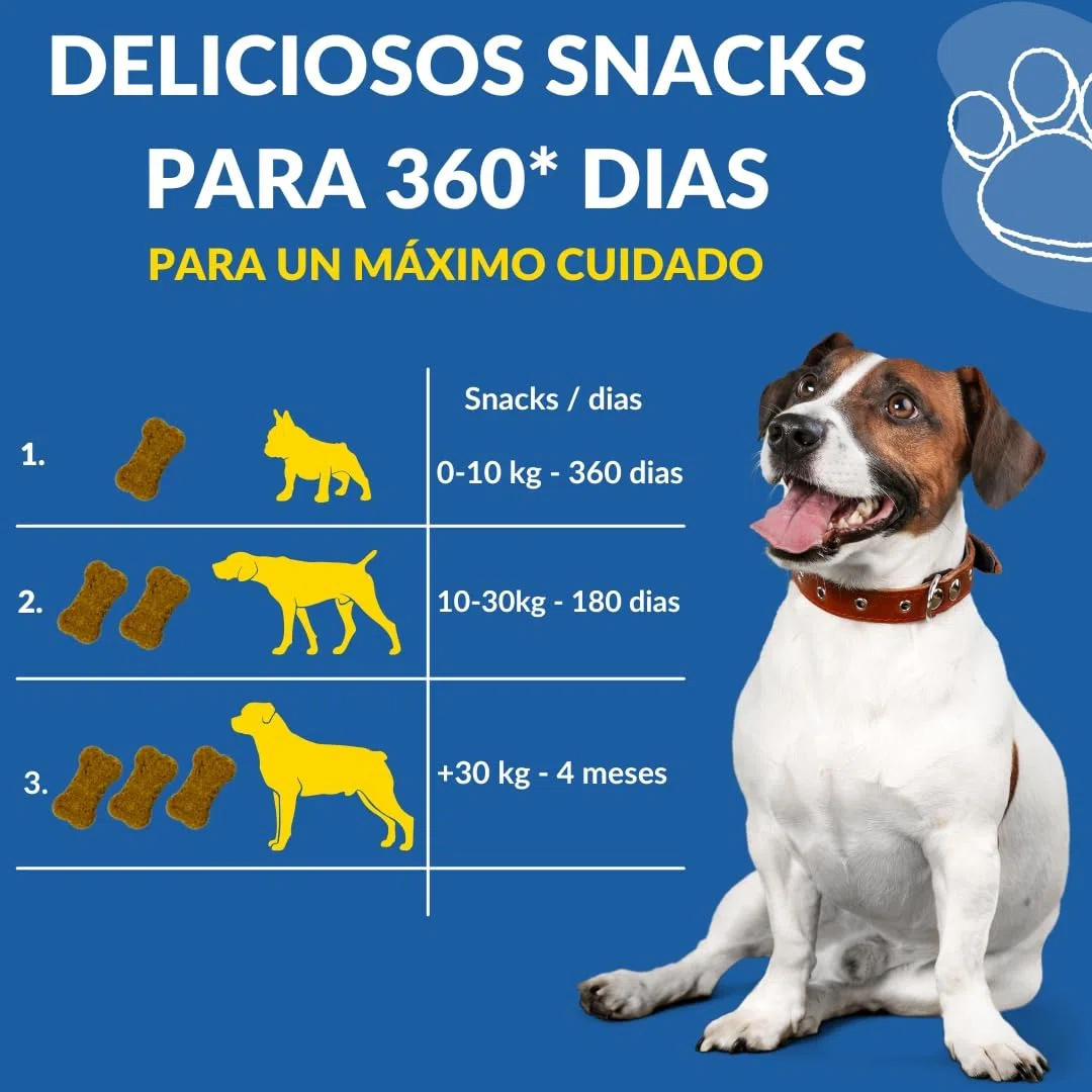 Condroprotector Perros 360 Uds (1 Año) Colágeno Magnesio y Calcio, Mantenimiento Articular, Glucosamina, Condroitina, Cúrcuma, Vitality Complex para Movilidad, Huesos. Faucare