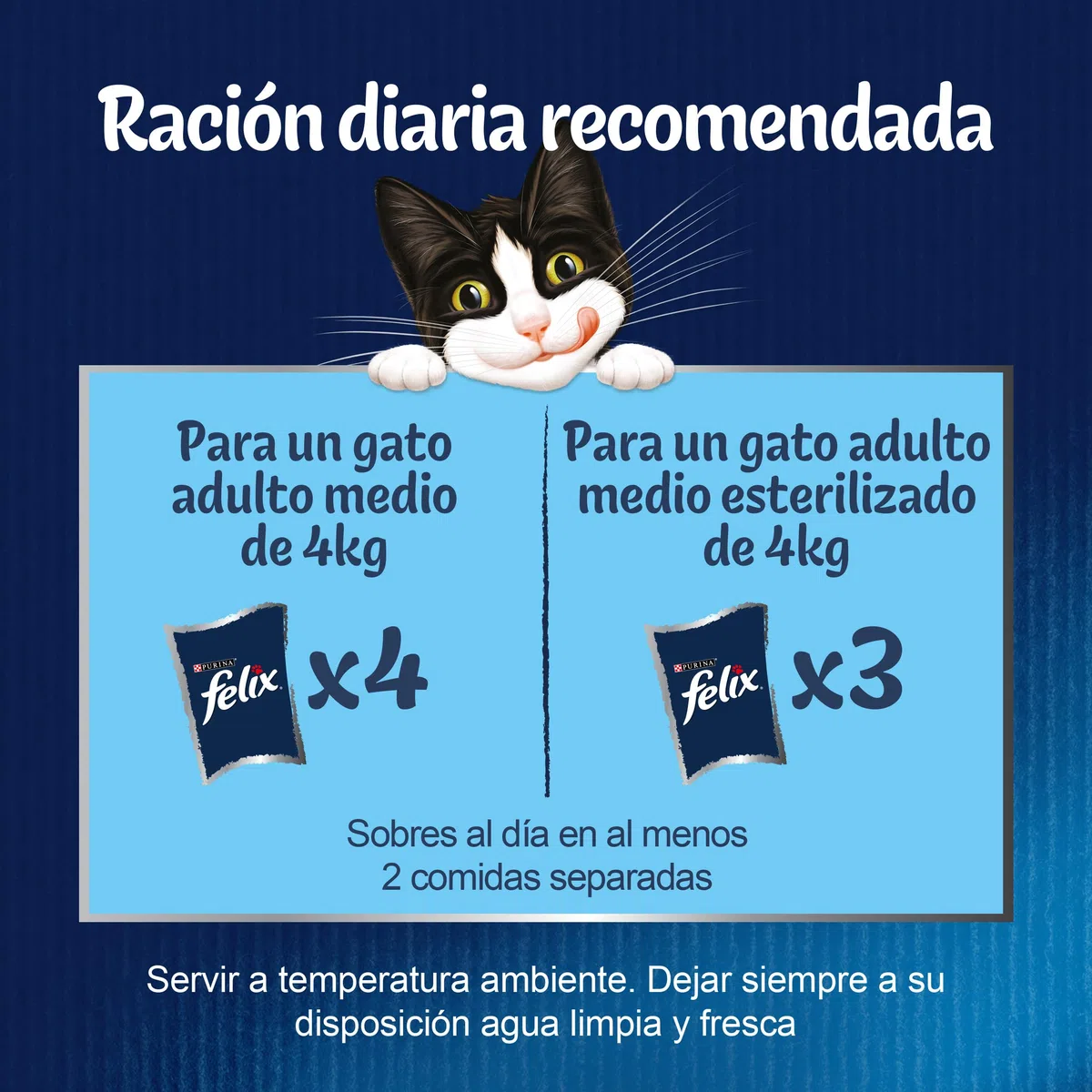 FELIX Fantastic, Comida Húmeda para Gato Adulto, Gelatina, Surtido de Atún, Salmón, Bacalao y Solla, 6 Packs de 12 Sobres de 85 g. (72 Sobres)