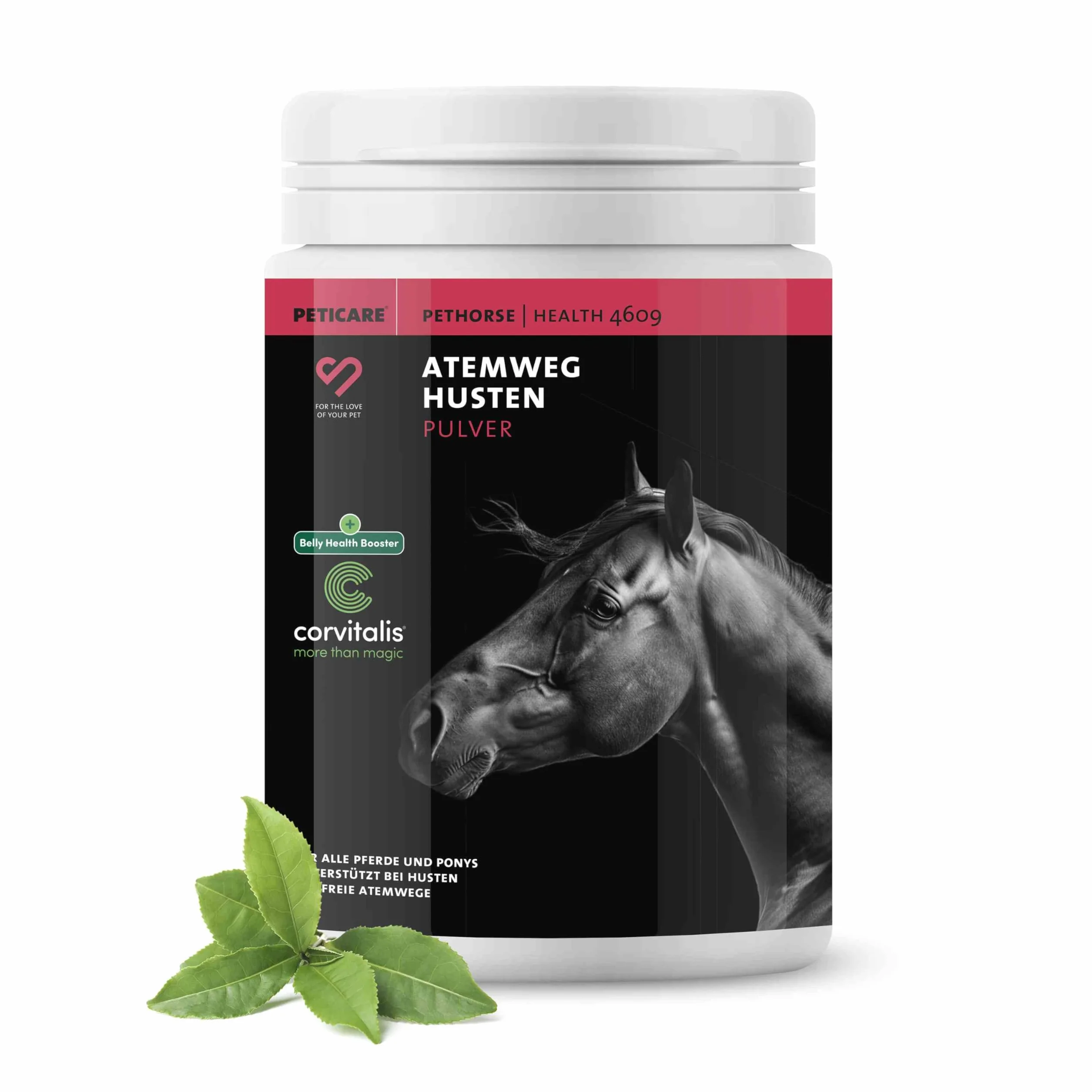 Peticare bronquios y Tos remedio para Caballos | Apoya vías respiratorias y resfriados | Expectorante | Fórmula a Base de Hierbas | Jarabe para la Tos en Polvo | Libre de OGM | petHorse Health 4609