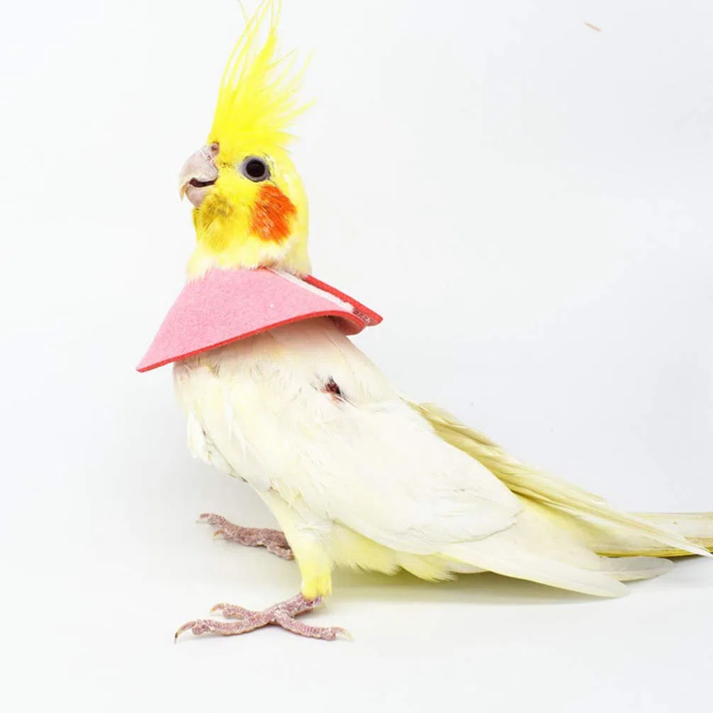 ULTECHNOVO Collar De Recuperación para Pájaros Pequeños Ajustable Anti Mordeduras Y Anti Lamidos para Loros Protector De Cuello para Cuidado Y Recuperación De Lesiones 4 Piezas