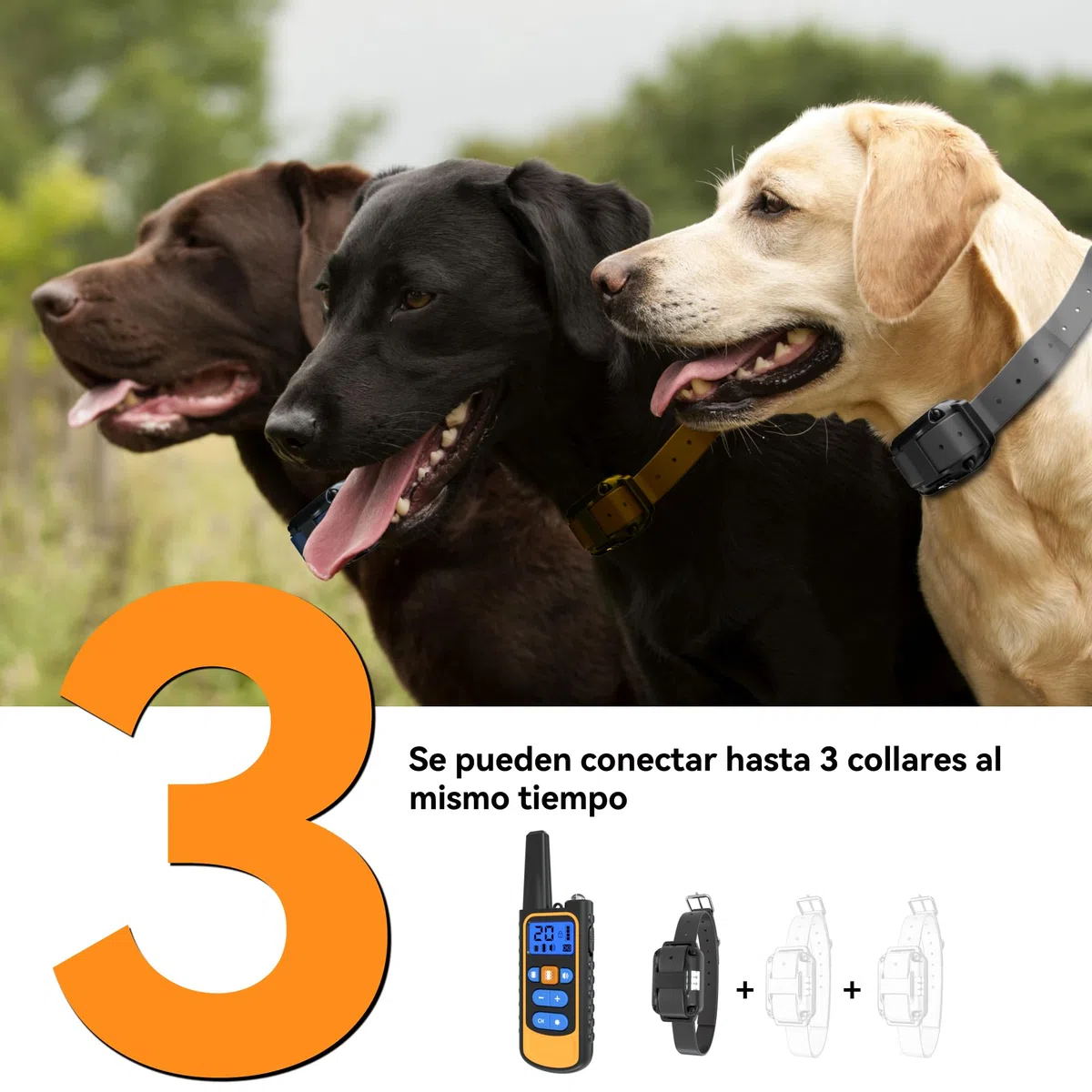 Meloive Collar de Adiestramiento para Perros Recargable,Alcance de 3000 Metros con Bloqueo de Seguridad,Modos de Pitido,Luz LED,Vibración y Fuerte Vibración,100% Impermeable