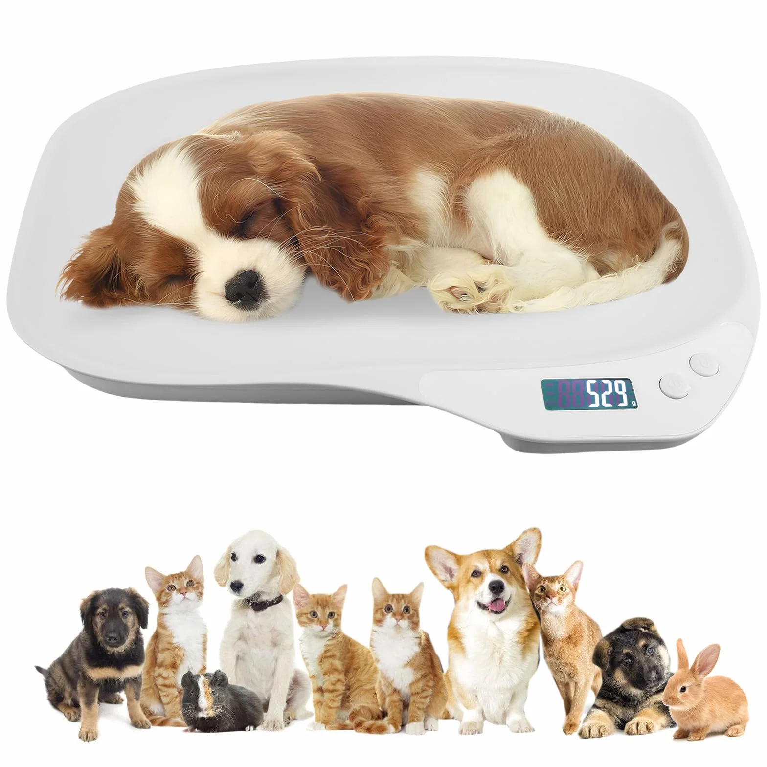 báscula digital para animales pequeños: báscula digital para mascotas de 15 kg (± 1 g), con pantalla LCD y 4 modos de pesaje (kg/oz/lb/ml)
