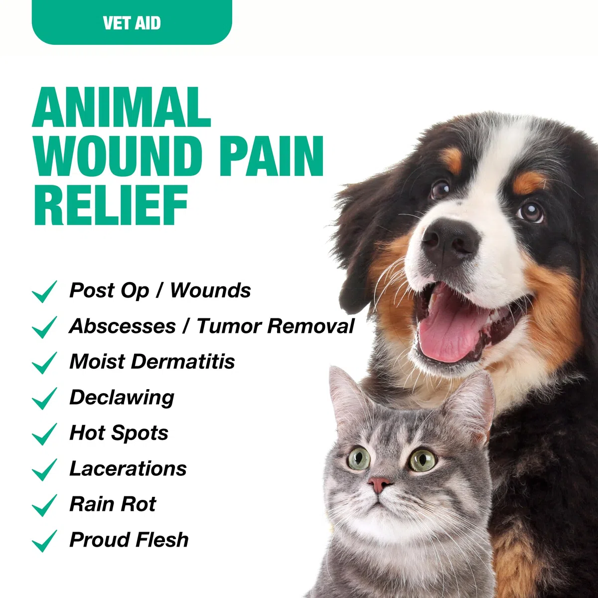 Cicatrizante Enzimático 120 ml para Perros y Mascotas – Sal Marina + Lisozima, Hipoalergénico, Inodoro, Ayuda a una rápida recuperación sin Irritación