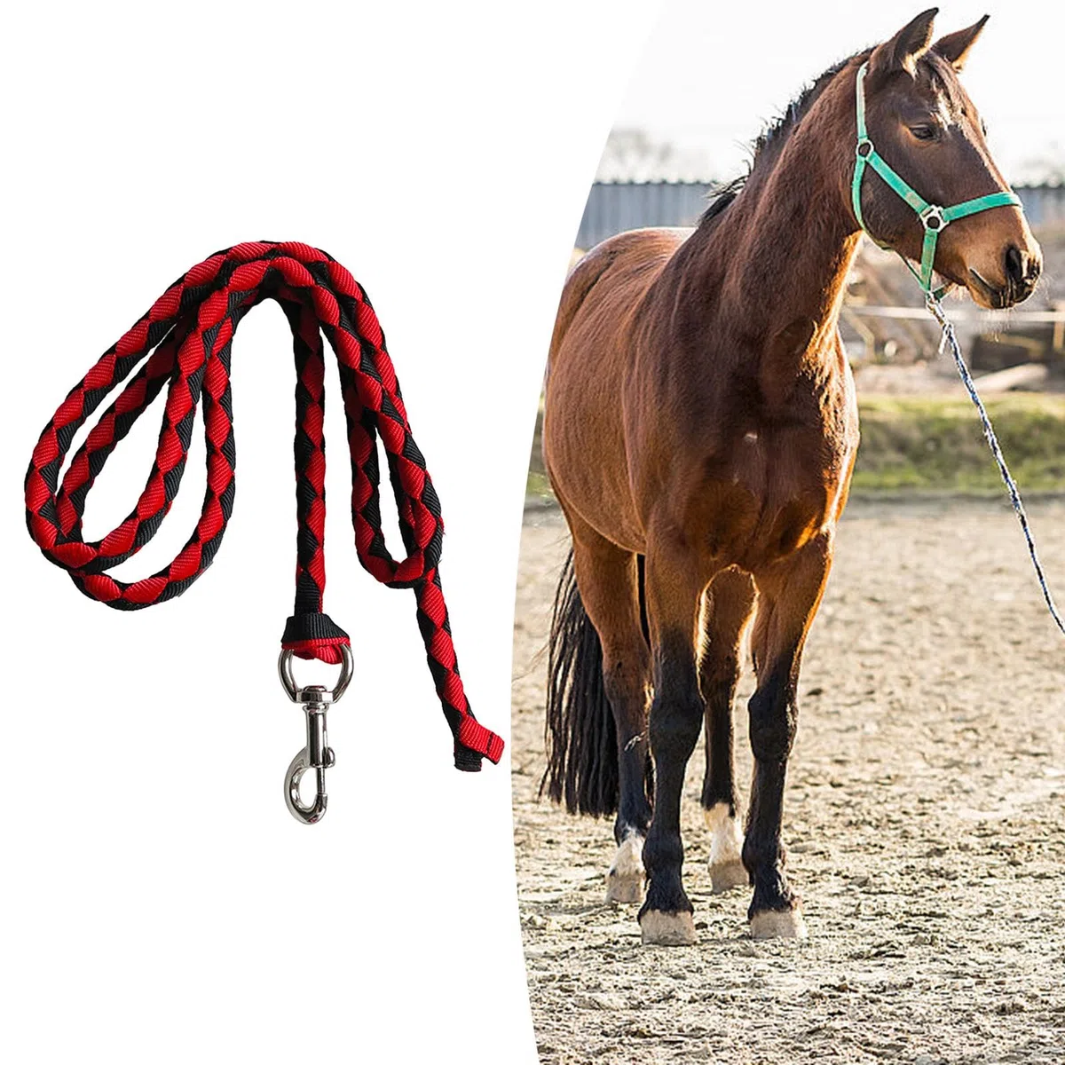 Correa de Caballo, Correa de Caballo Trenzada, para Sujetar Al Cabestro O Al Arnés, Cordón de Correa de Caballo con Clip de Presión, Cuerda de Correa