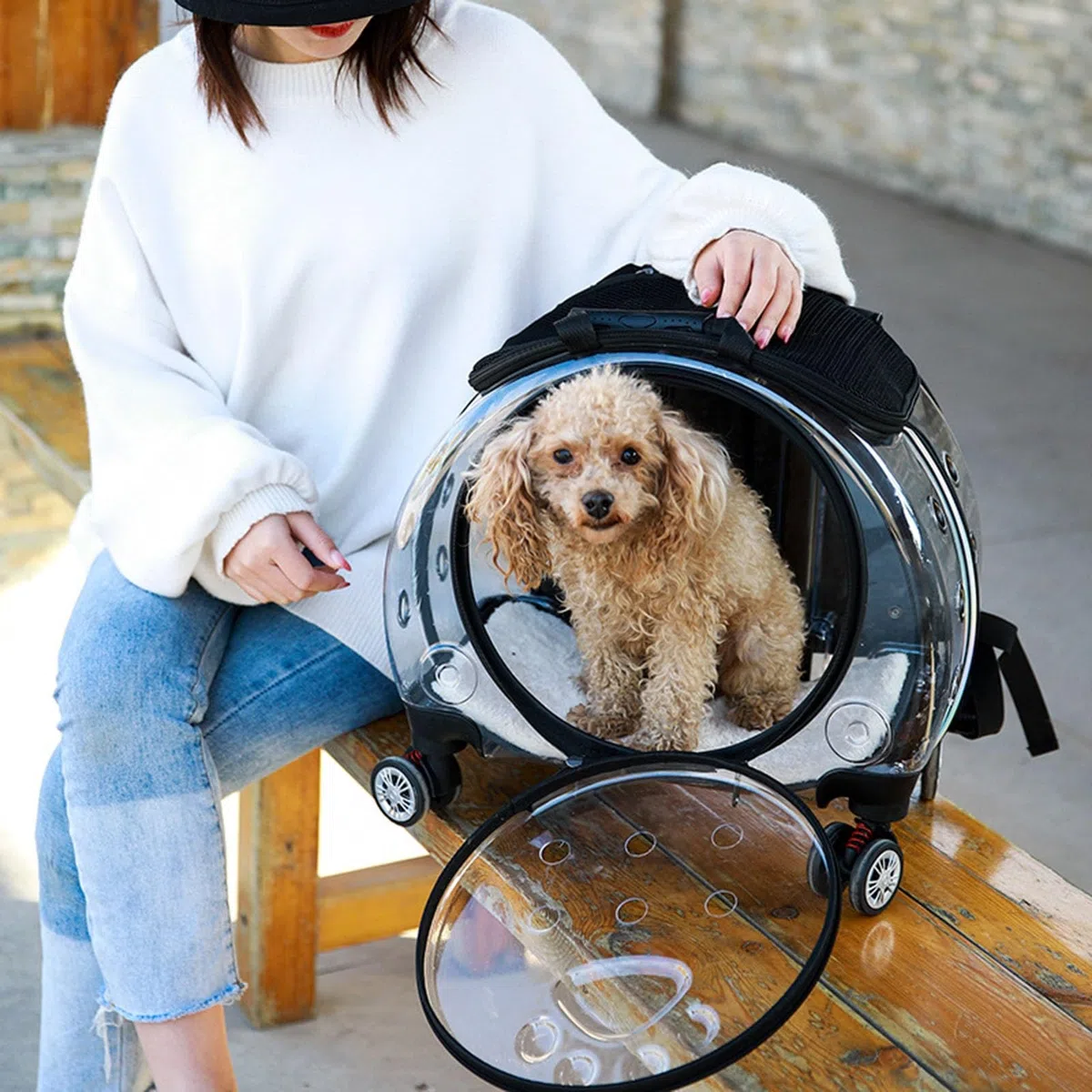 Transportador para gatos con ruedas, transportador transparente de burbujas para gatos, mochila para mascotas para gatitos, perros pequeños, agujeros de ventilación transparentes, ruedas