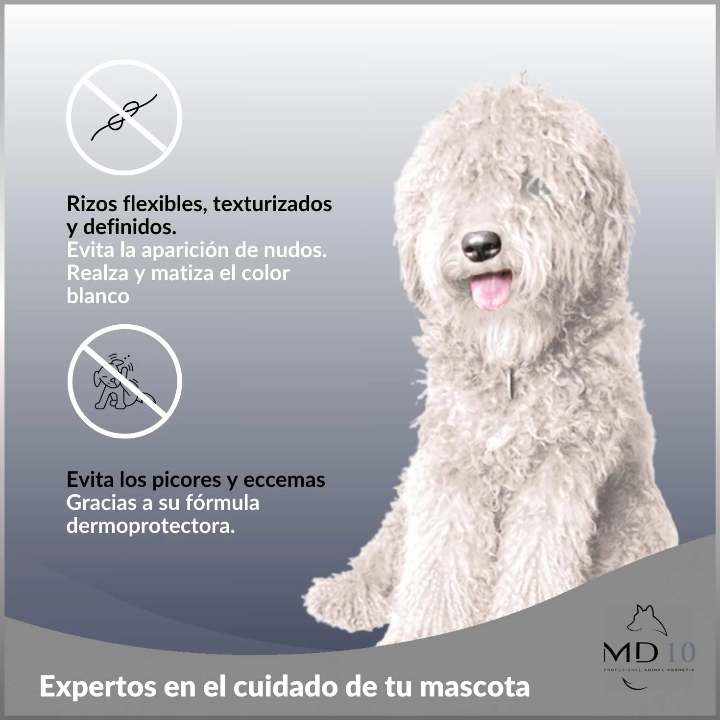 Champú para Perro de Agua Español Pelo Blanco - Mantiene, Realza y Matiza el Color Blanco - Champú Hidratante, Vegano y Biodegradable - Fabricado en España - 750 ml - MD-10 COLLECTION