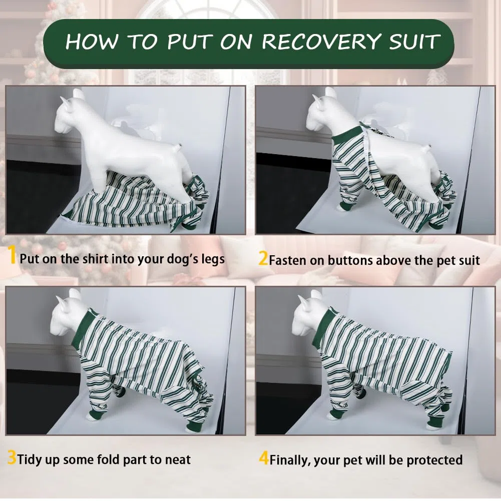 FEimaX Traje de Recuperación para Perros Después de la Cirugía, Protector de Heridas Abdominales para Perros Hembras y Machos, Body Quirúrgico de Manga Larga para Mascotas (Verde, XL)
