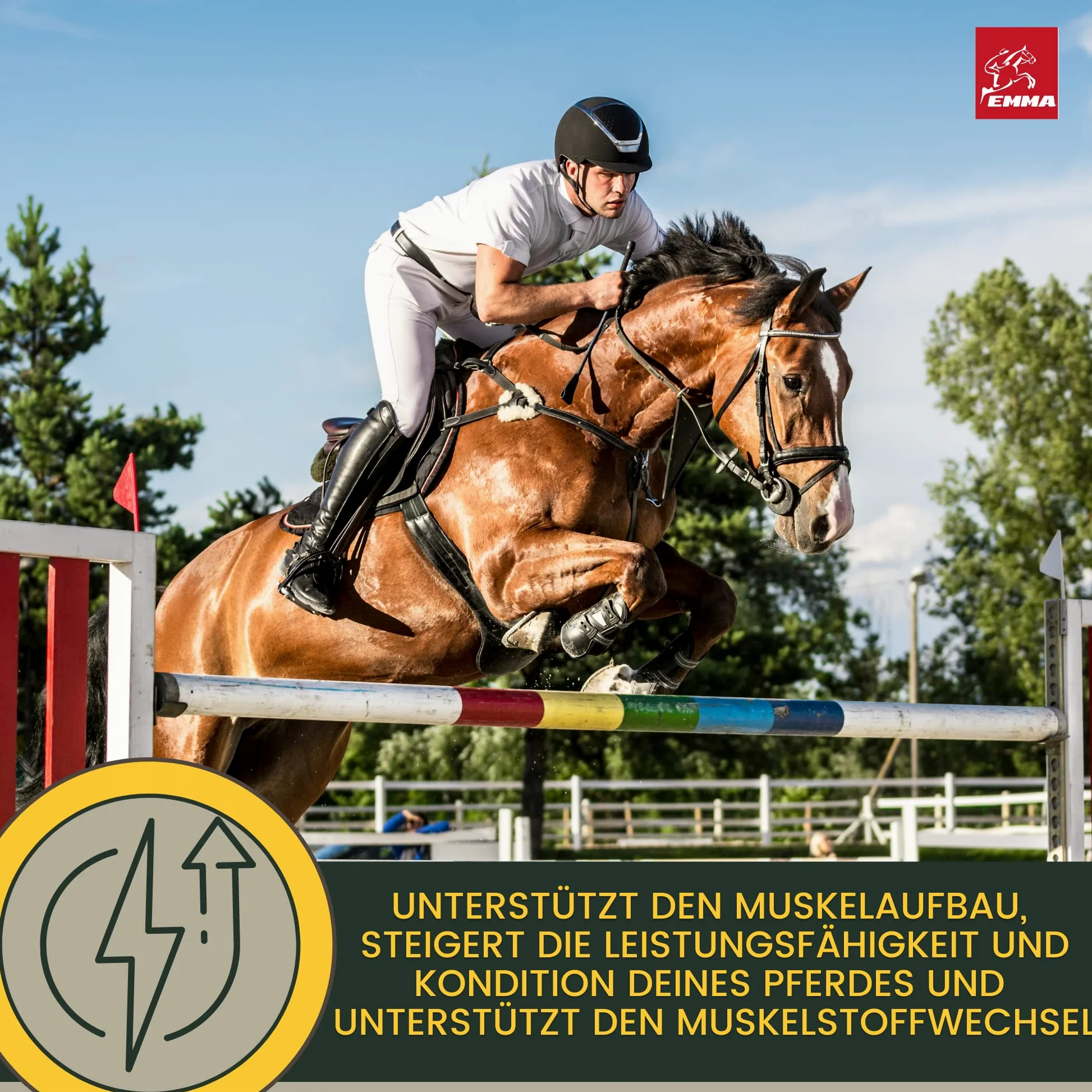 Líquido de Refuerzo Muscular para Caballos con Aceite de Germen de arroz Vitamina E Caballo Aceite de linaza I alimento reconstituyente I vitaminas alimento suplementario para el Refuerzo Muscular 1L