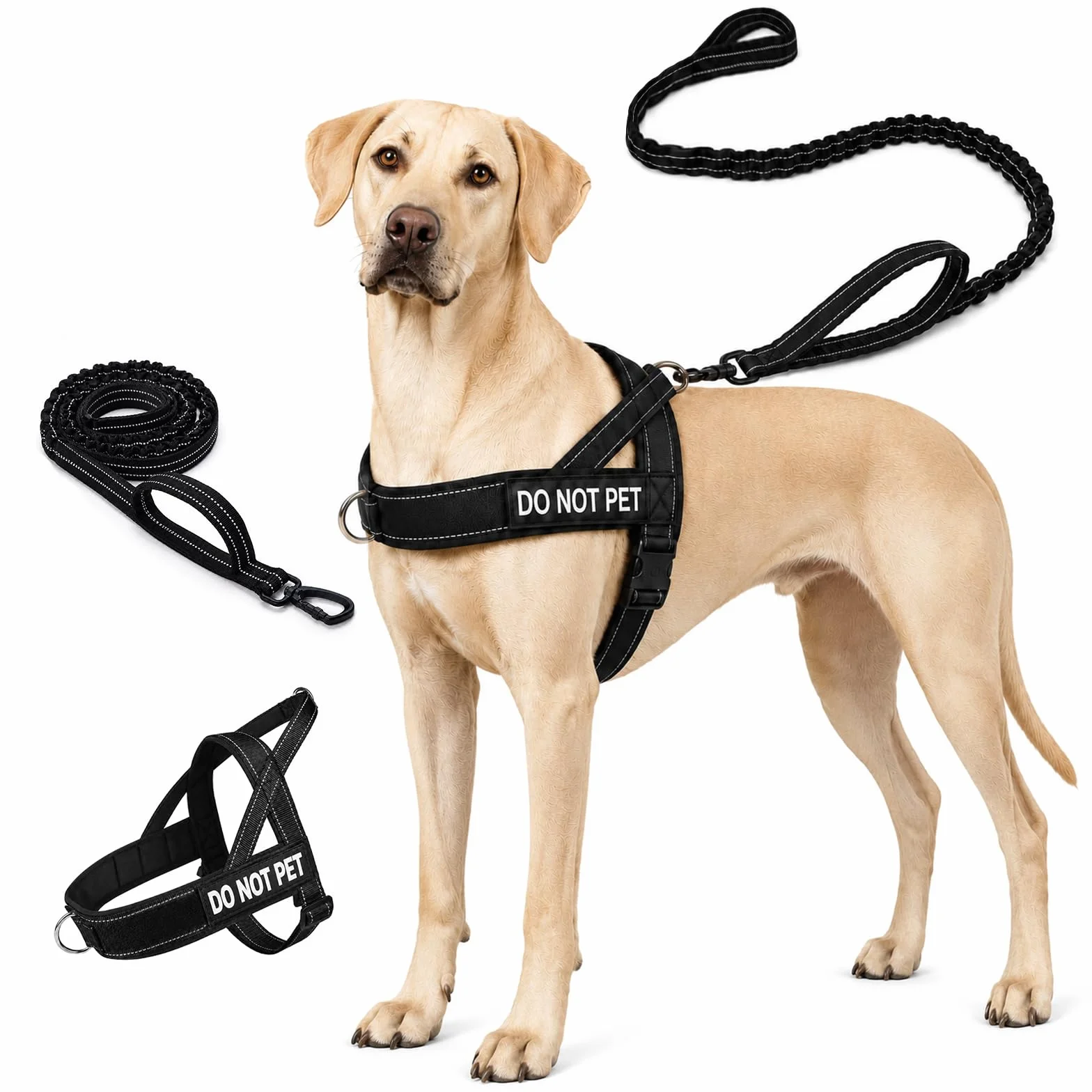 Arnes Perro Grande Mediano, Arnés Antitirones con Correa Incluida, Chaleco Ajustable de Nailon con Anillas Pecho y Espalda, Transpirable Reflectante para Pasear Entrenar Negro Talla L