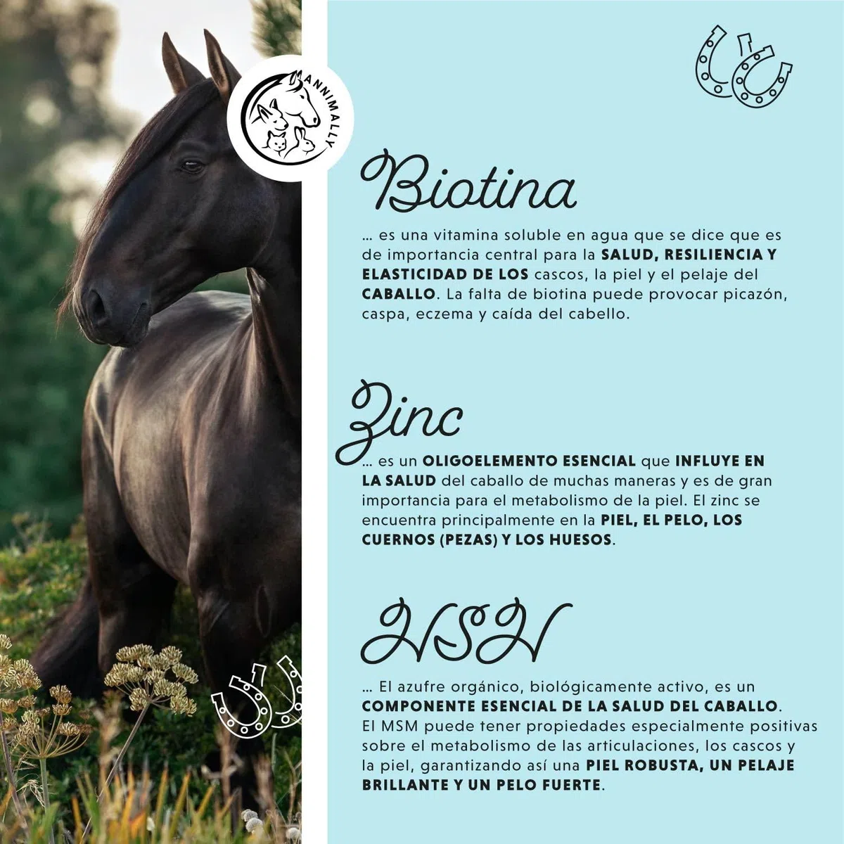 Caballo Biotina Zinc Líquido 1000 ml - Cuidado para la Piel, el Pelaje y los Cascos de los Caballos - Biotina, Zinc y MSM líquidos para un Pelaje Saludable - Cuidado del Pelaje y de los Cascos