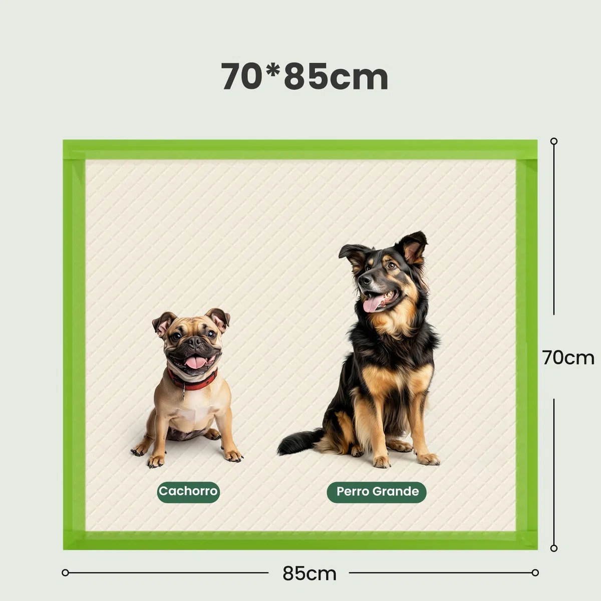 Gardner Pet Empapadores Perros Grandes 70x85 cm, Súper Absorbentes, Prueba de Fugas, Secado Rápido, Pipican para Perros en Casa, 30 Piezas