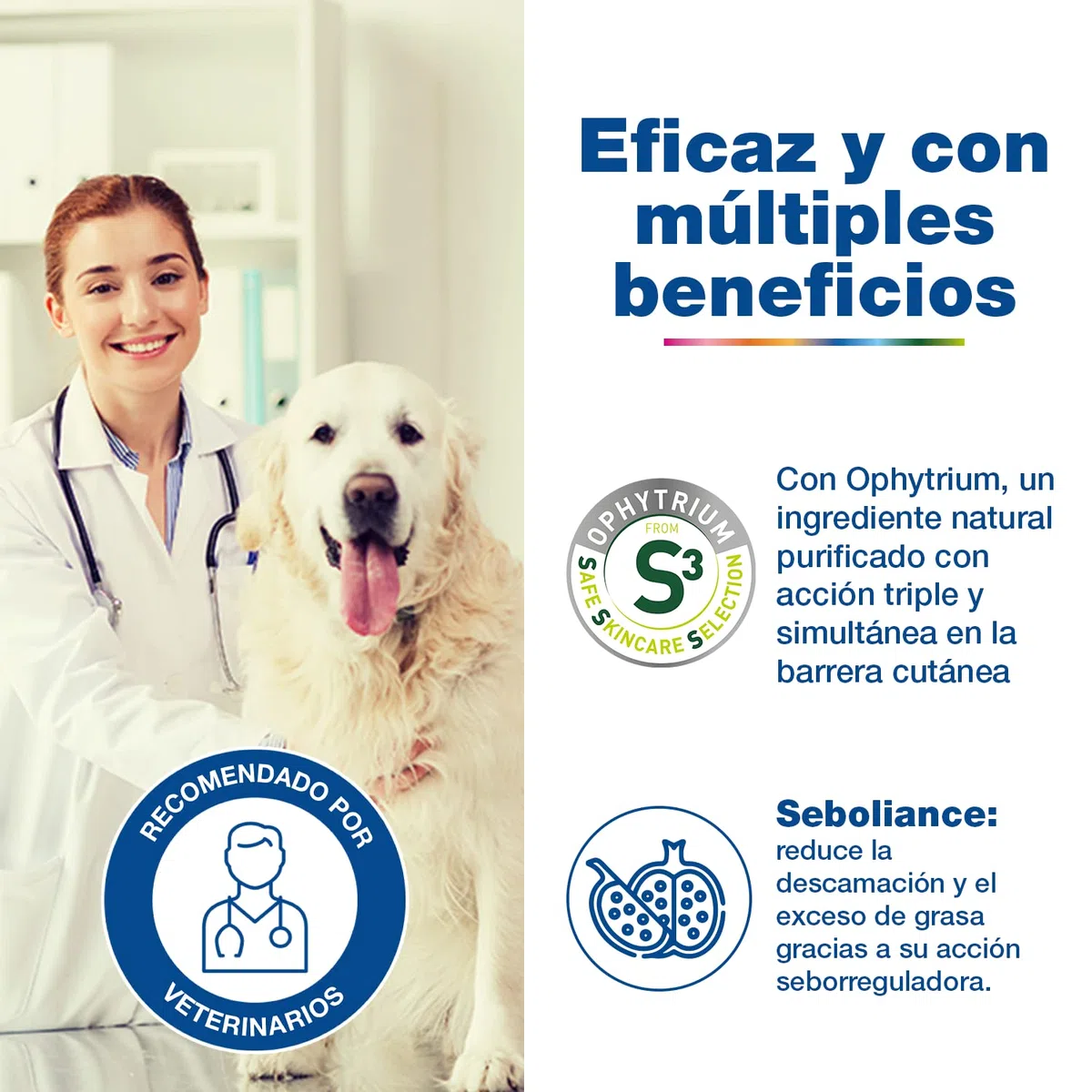 DOUXO S3 Seb Champú para Perros y Gatos - Pieles grasas o con descamación - Antiolor - Seborregulador - Fragancia hipoalergénica - 200ml
