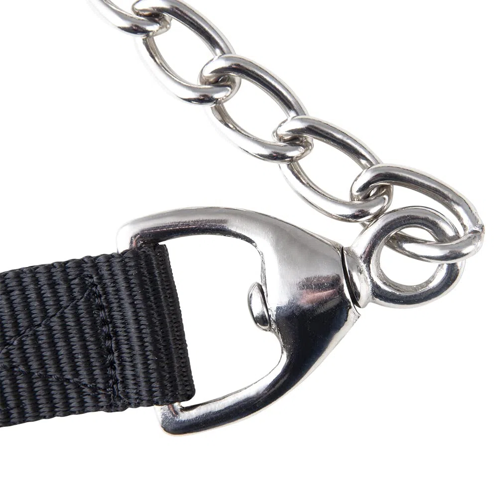 PFIFF 102990 - Cuerda de guía con Cadena Larga de 70 cm con mosquetón, 200 cm, Color Negro