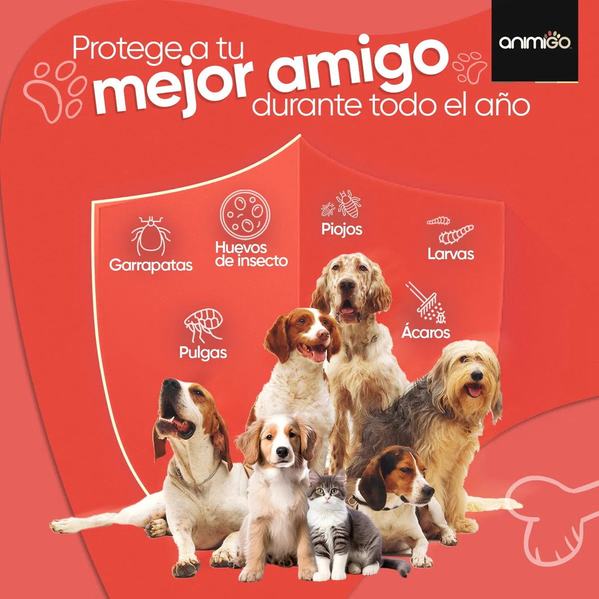 Antiparasitario en Polvo para Perros y Gatos 100g Sabor Pollo - Protección Natural Antipulgas y Antigarrapatas Muy Fácil de Suministrar Formulado con Ingredientes Naturales, Vitaminas Grupo B y Zinc
