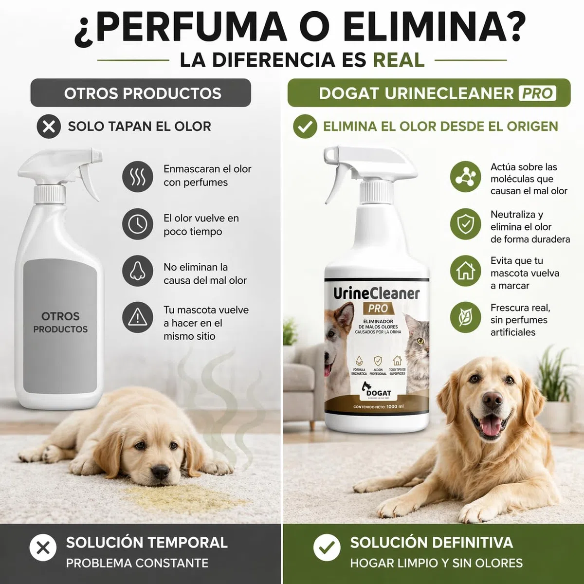 Eliminador Olor Orina Perro y Gato 1000 ml | Neutralizador Profesional de Malos Olores de Mascotas | Spray Limpiador Enzimático para Sofá, Suelo, Alfombra, Terraza y Césped Artificial