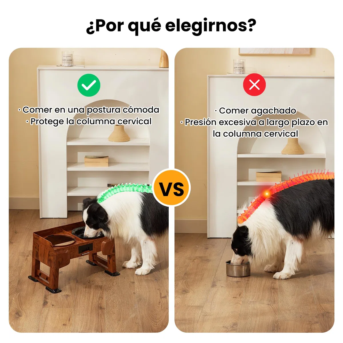 Gardner Pet Comedero Elevado para Perro con 5 Alturas Ajustables, Comedero de Acero Inoxidable Antivuelco y Antiglotón con 2 Boles de 1.6L, Ideal para Perros Medianos y Grandes
